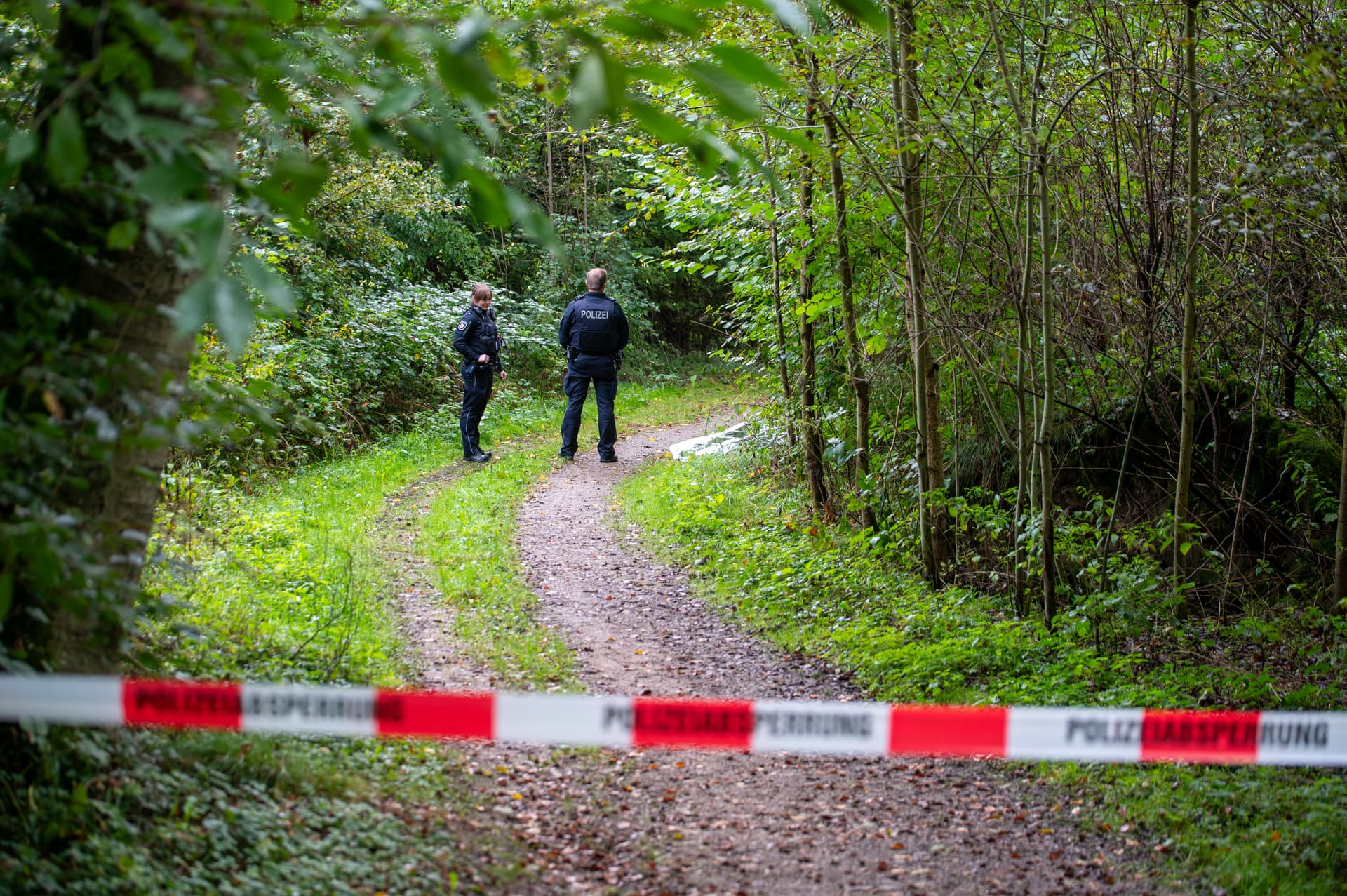 Hinrichtung mit drei Schüssen: Frauen-Leiche auf Waldweg in Schleswig-Holstein gefunden