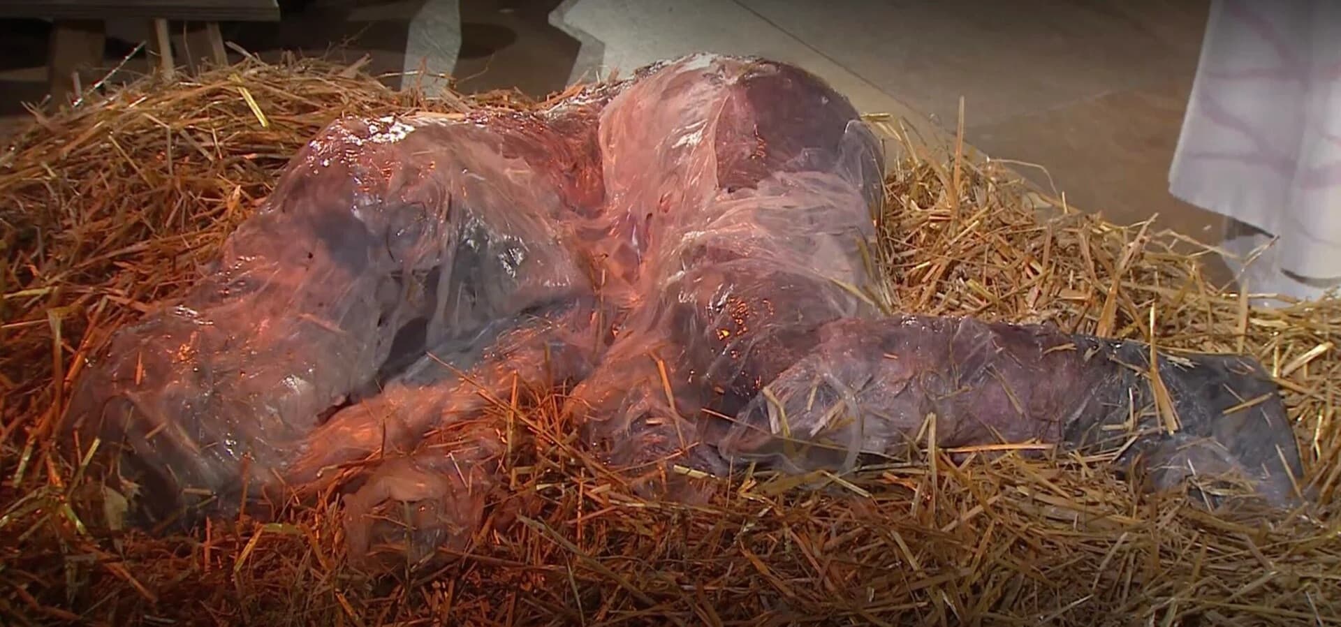 Bizarre Krippe in ARD-Christmette: Schleimiger Erwachsener statt Jesuskind sorgt für Empörung