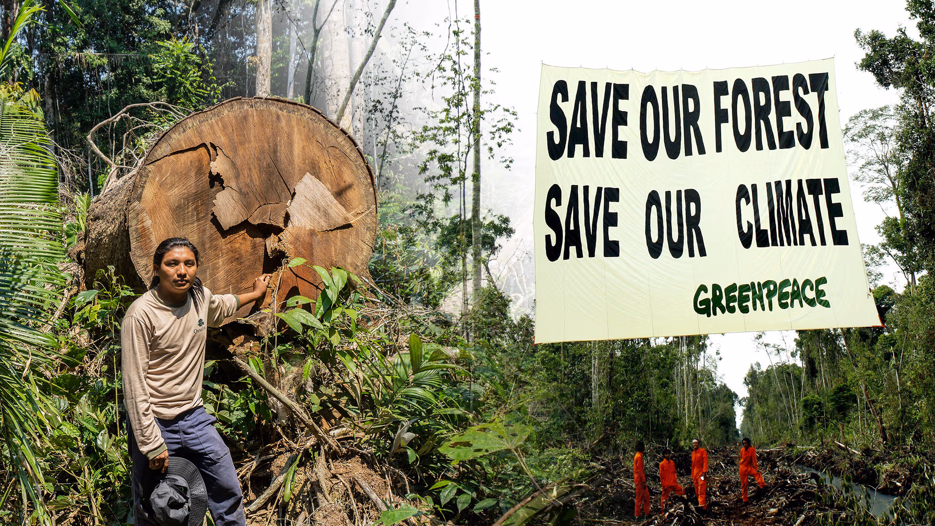 Grüne Klimaideologie: So werden die Menschen in den Entwicklungsländern ärmer