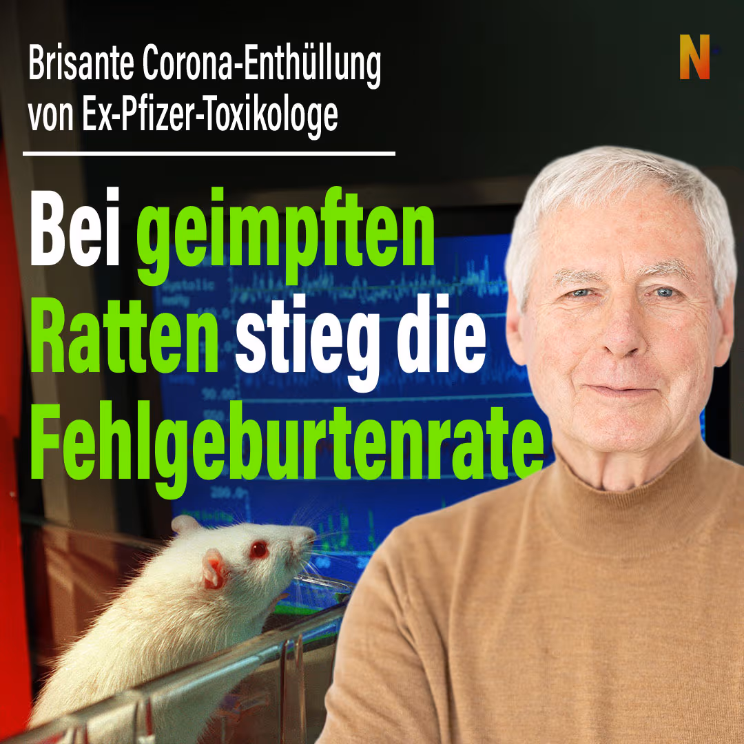 Brisante Corona-Enthüllung von Ex-Pfizer-Toxikologe: Bei geimpften Ratten stieg die Fehlgeburtenrate