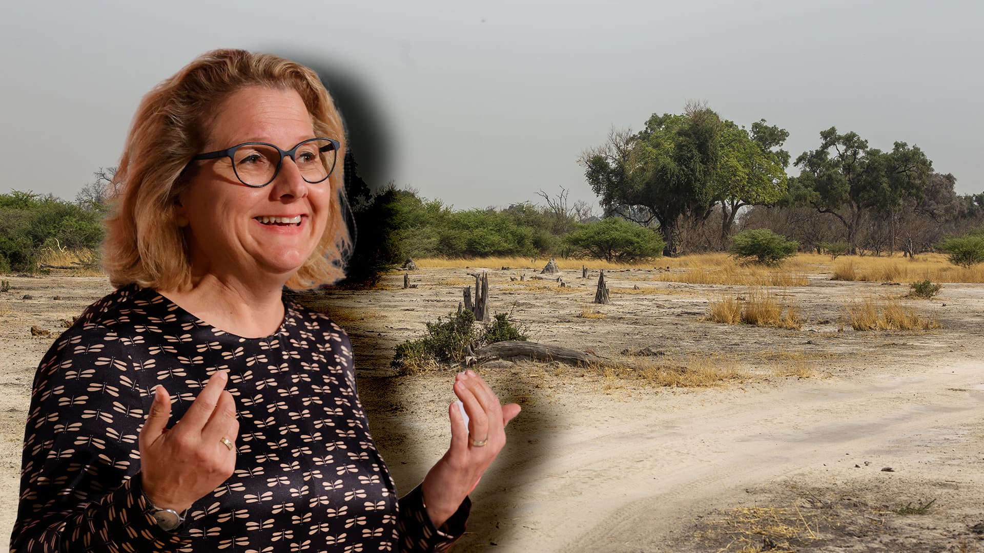 Klima-Offensive: 83 Millionen Euro Entwicklungshilfe für falsch gepflanzte Bäume in Afrika