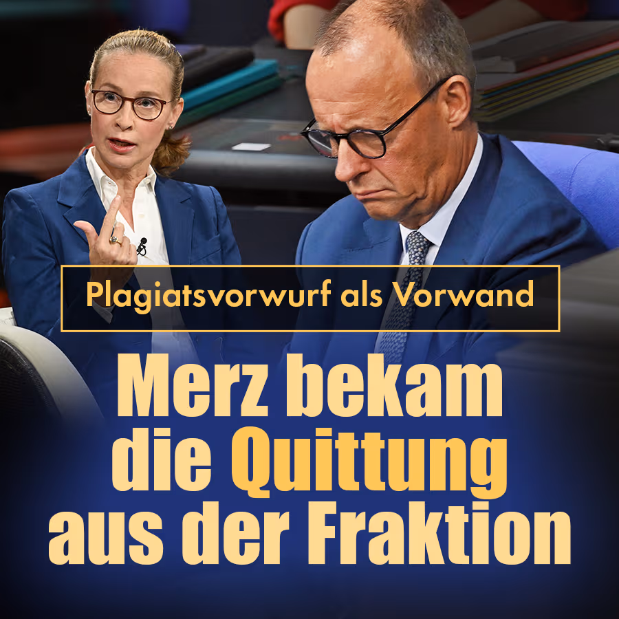 Plagiatsvorwurf als Vorwand: Merz bekam die Quittung aus der Fraktion