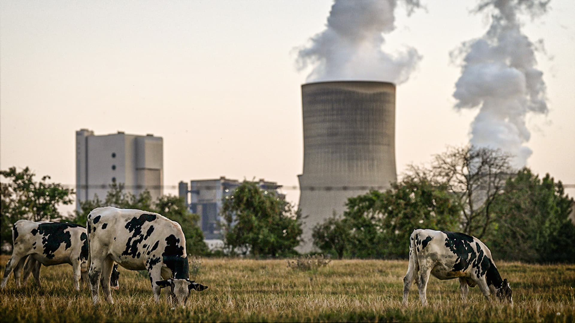 Stromproduktion: Gas und Kohle kommen zurück