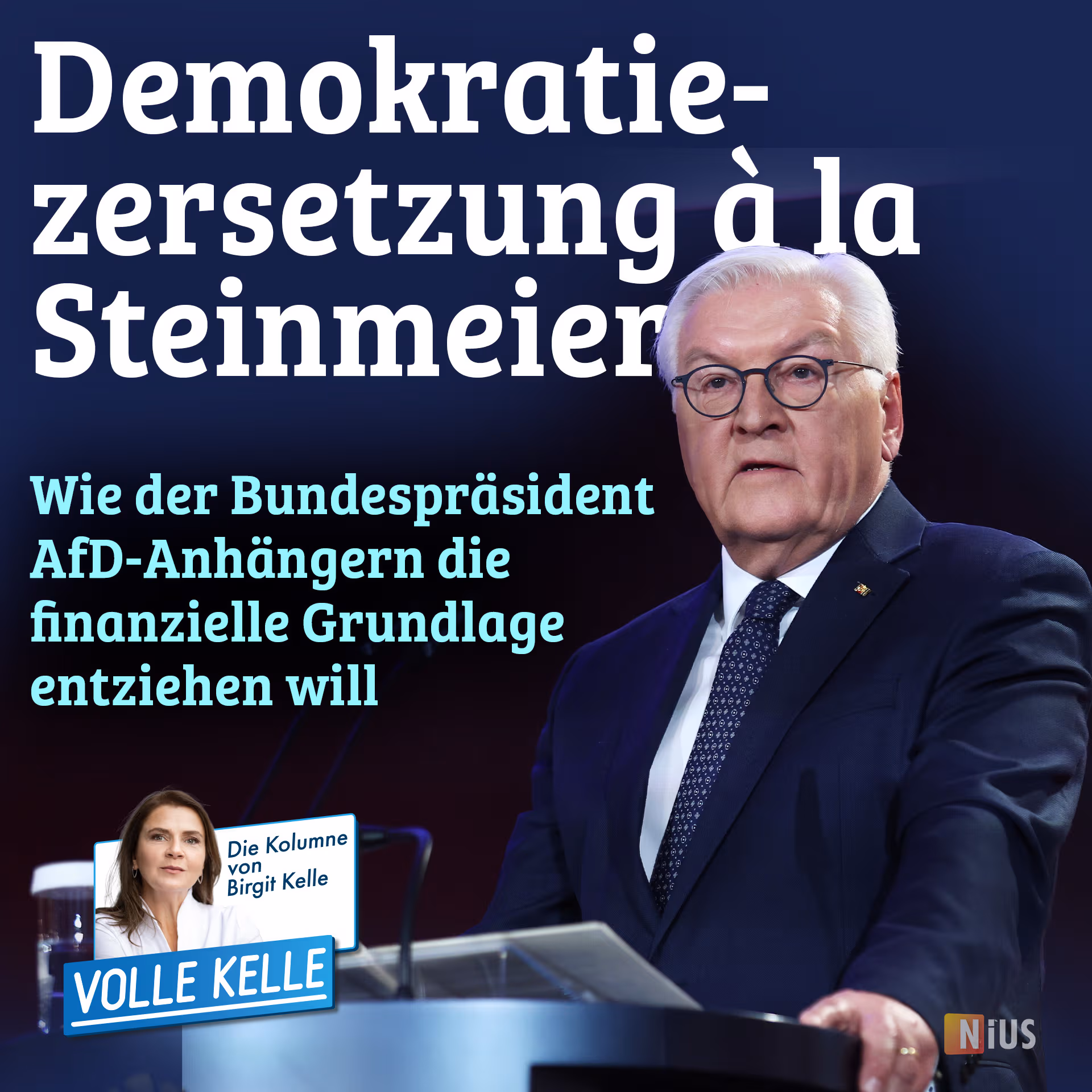 Demokratiezersetzung à la Steinmeier: Wie der Bundespräsident AfD-Anhängern die finanzielle Grundlage entziehen will