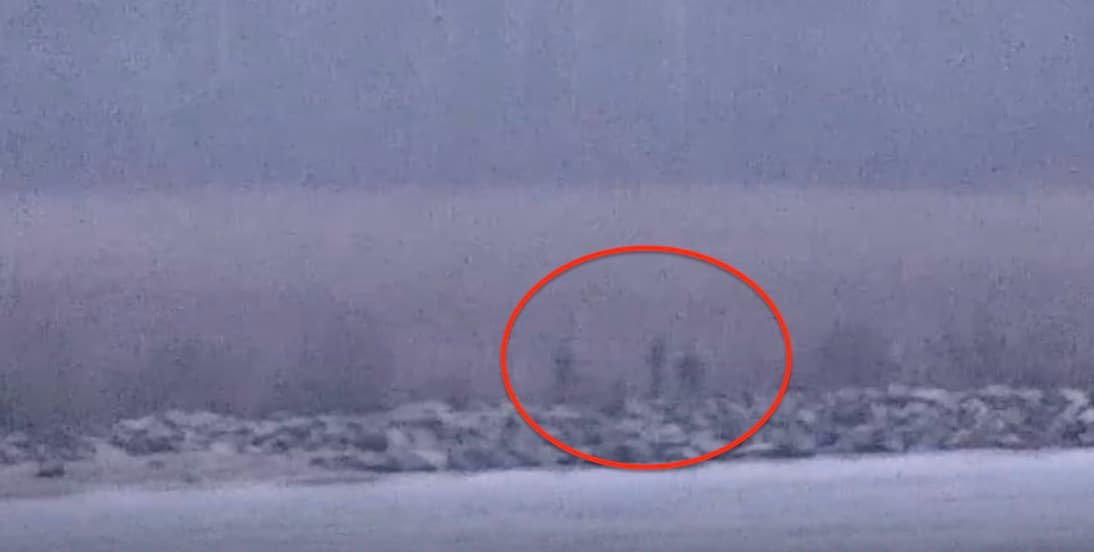 Video: Estland meldet unerlaubtes Eindringen russischer Grenzbeamter