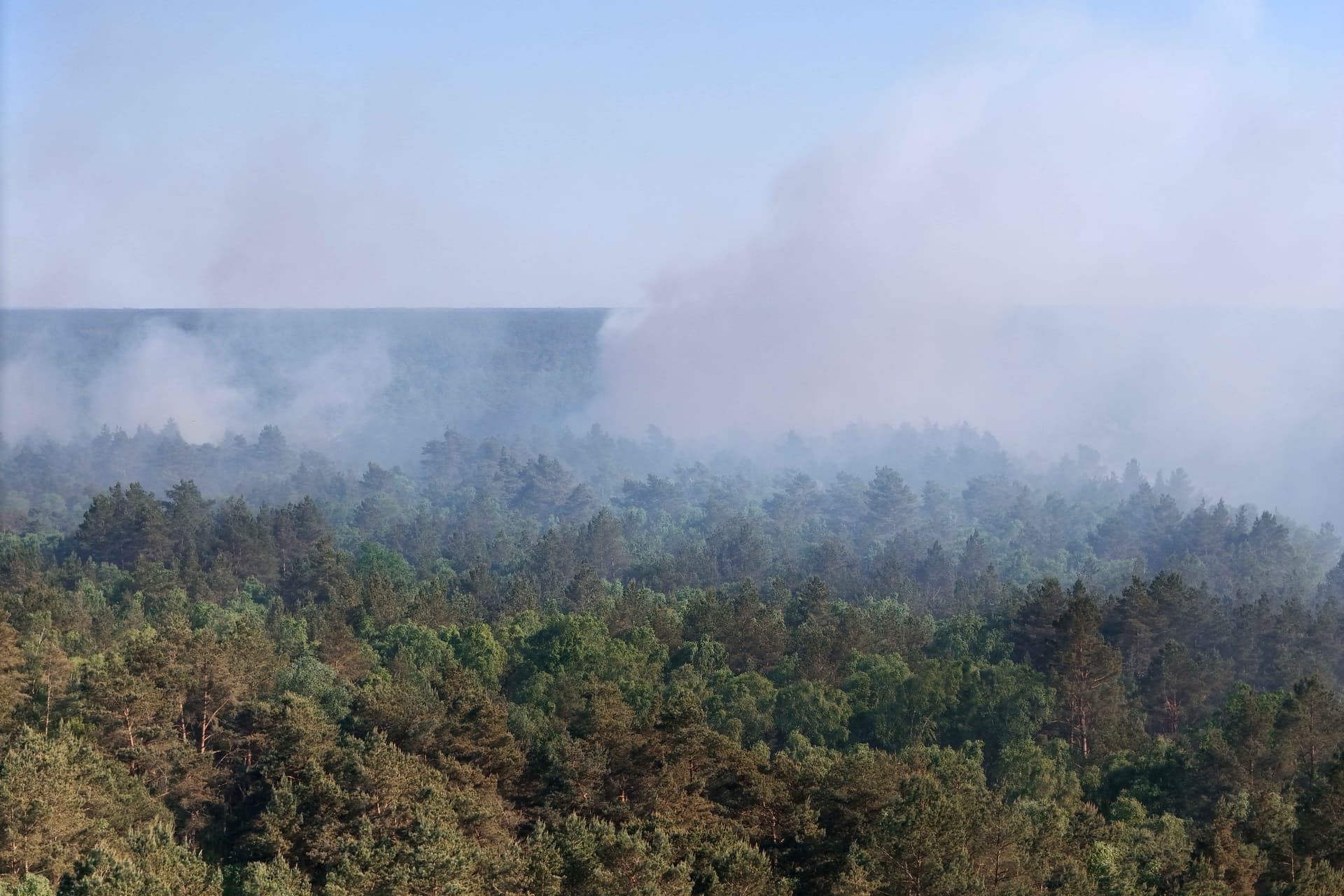 Wieder ein Waldbrand auf Truppenübungsplatz in Mecklenburg-Vorpommern