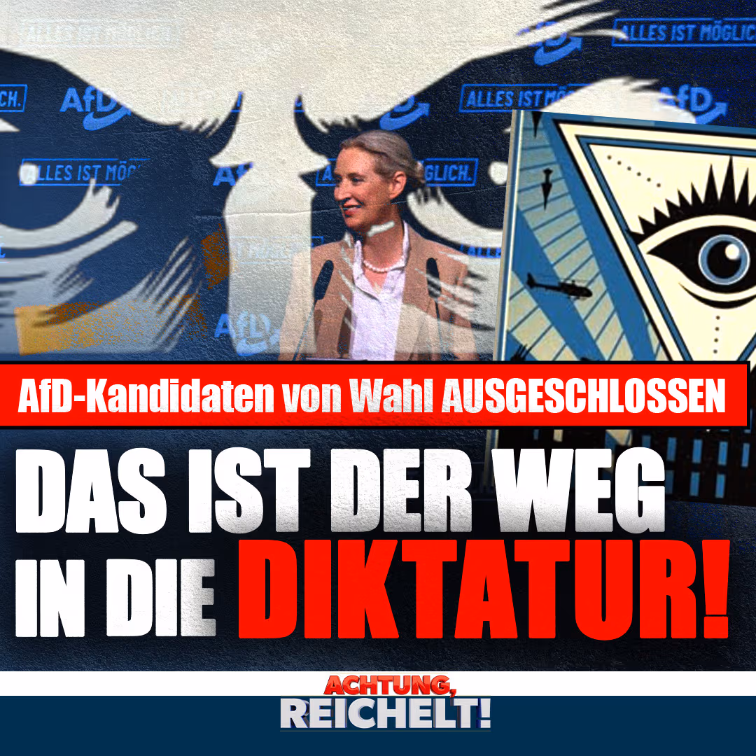 AfD-Kandidaten von Wahl ausgeschlossen – das ist der Weg in die Diktatur