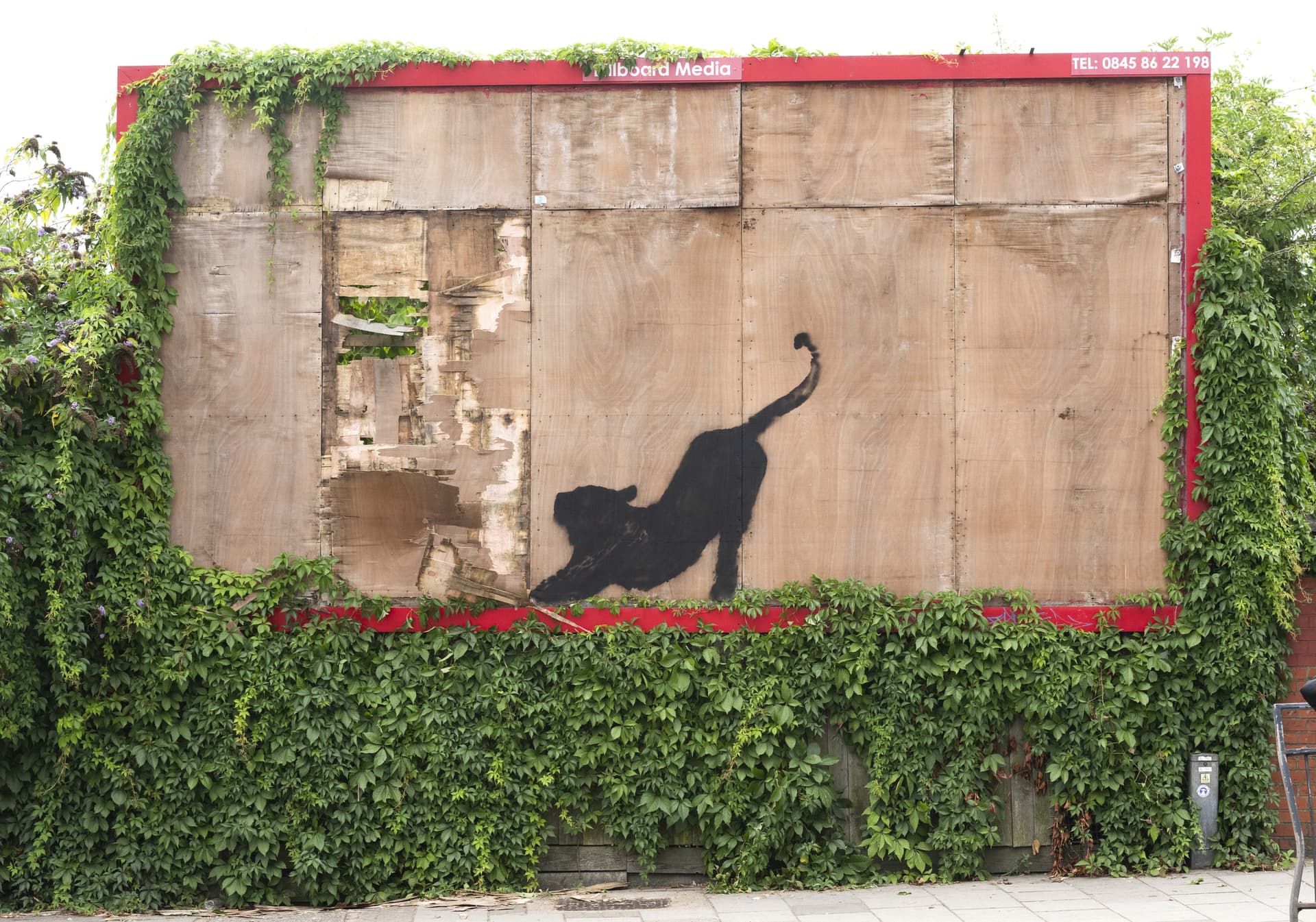 Miau! Neues Banksy-Kunstwerk in London aufgetaucht