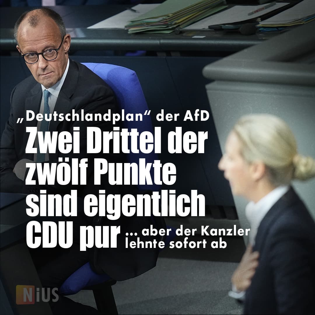 „Deutschlandplan“ der AfD: Zwei Drittel der zwölf Punkte sind CDU pur
