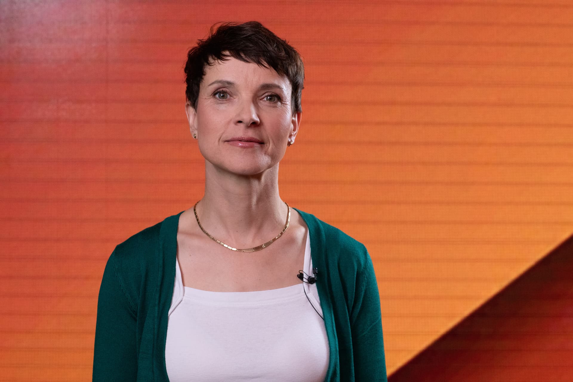 Frauke Petry zum Urteil über Meinungsfreiheit: „Der Staat hat keine Ehre. Er muss Beleidigungen aushalten“