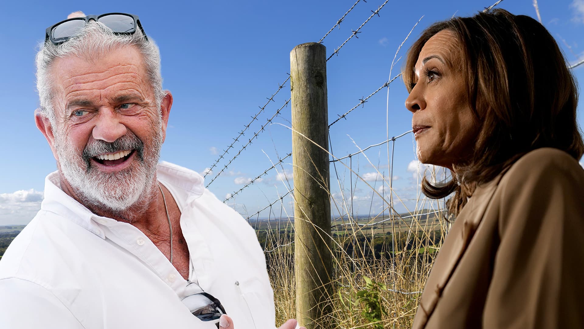 Mel Gibson über Kamala Harris: „Sie hat den IQ von einem Zaunpfahl“