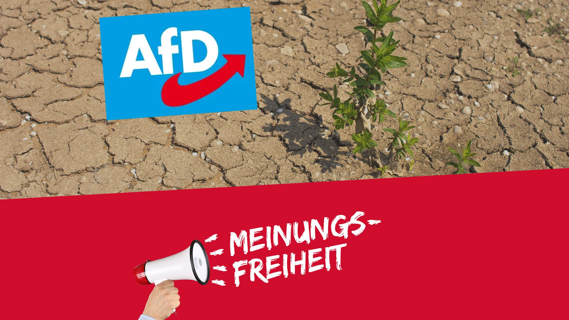 Meinungsfreiheit, Klimawandel, AfD: So tickt der Osten, so tickt der Westen