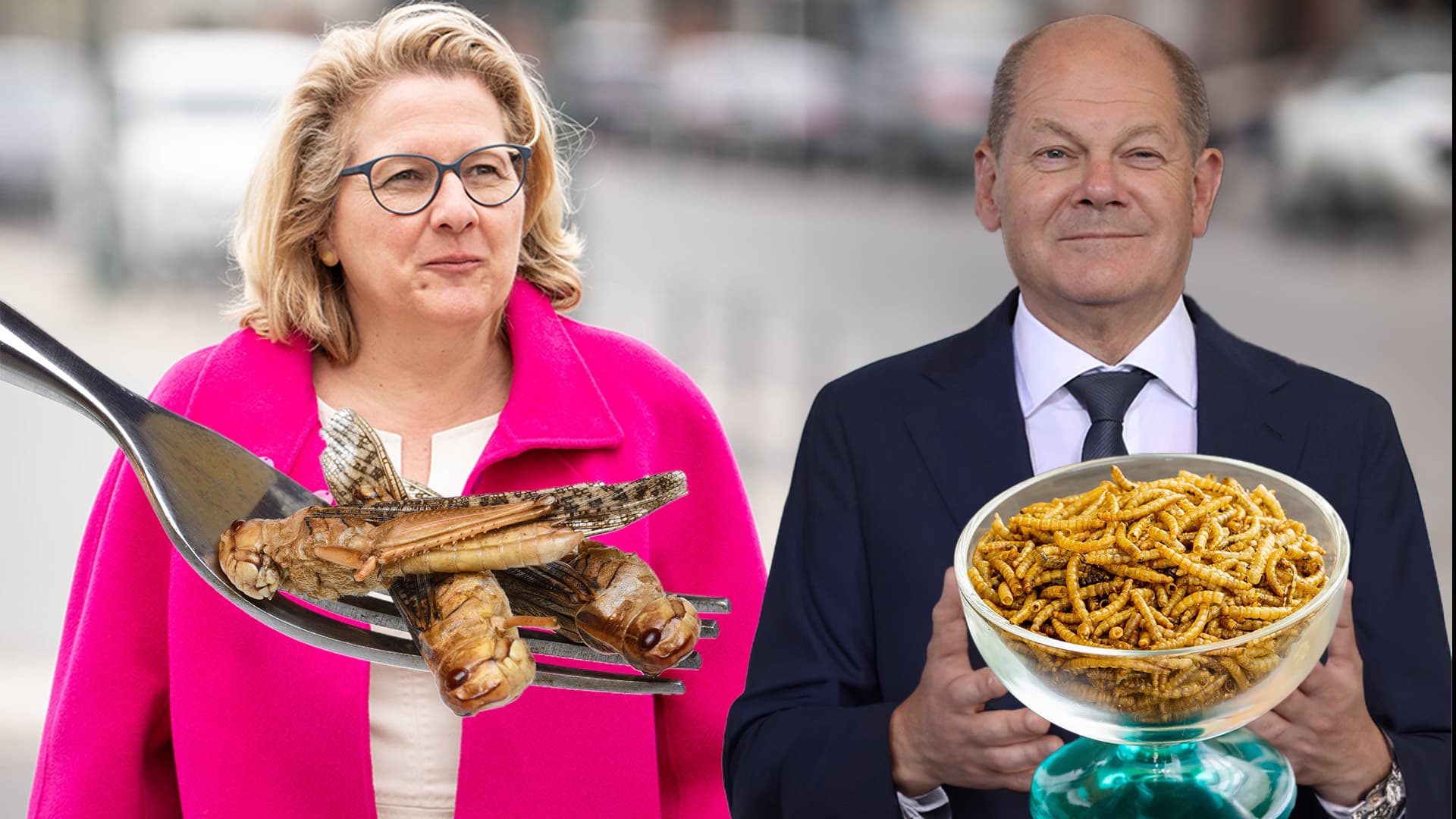 Hausgrillen, Mehlwürmer, Wanderheuschrecken: Bundesregierung feiert 75 Jahre Grundgesetz mit einer Insekten-Verkostung