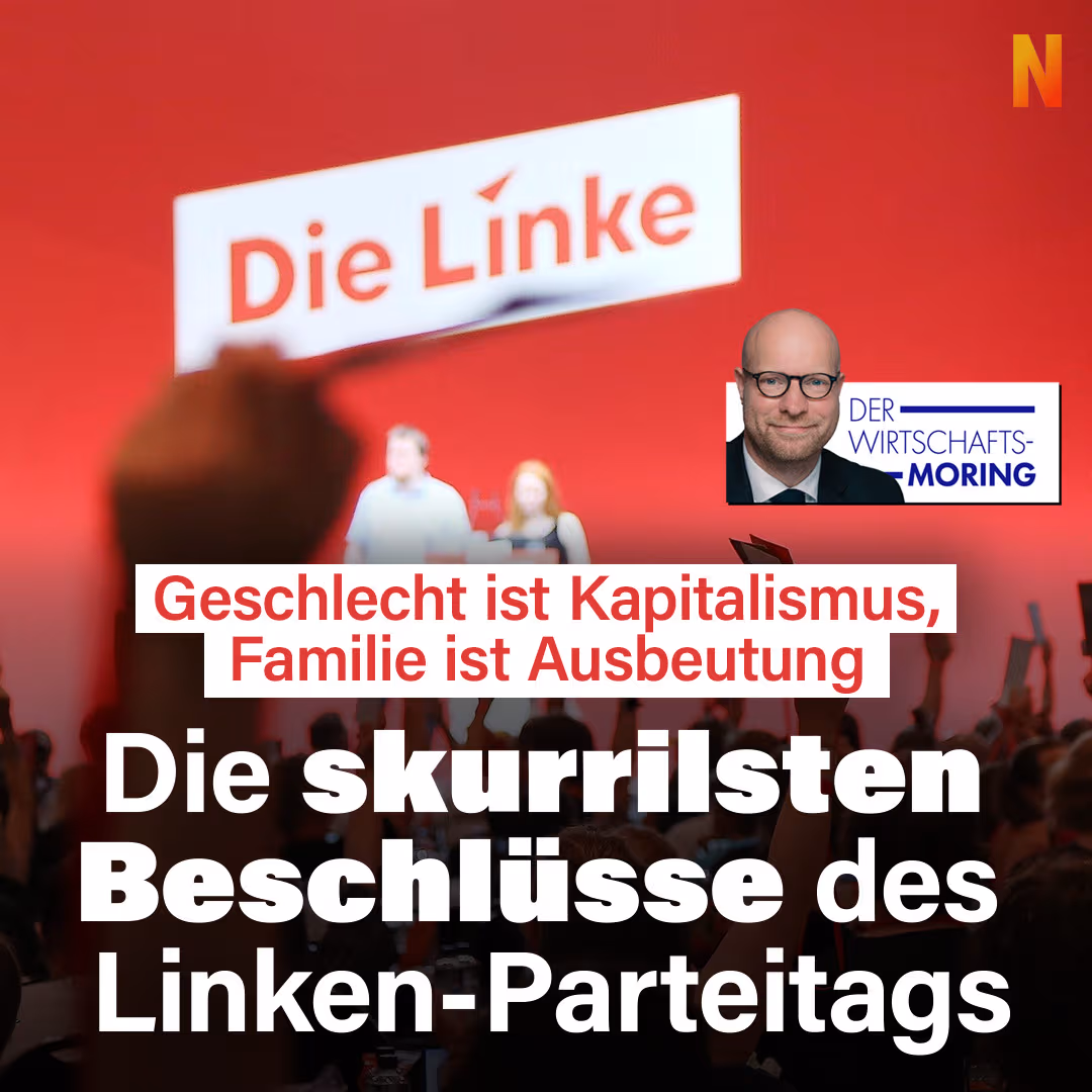 Die skurrilsten Beschlüsse des Linken-Parteitags