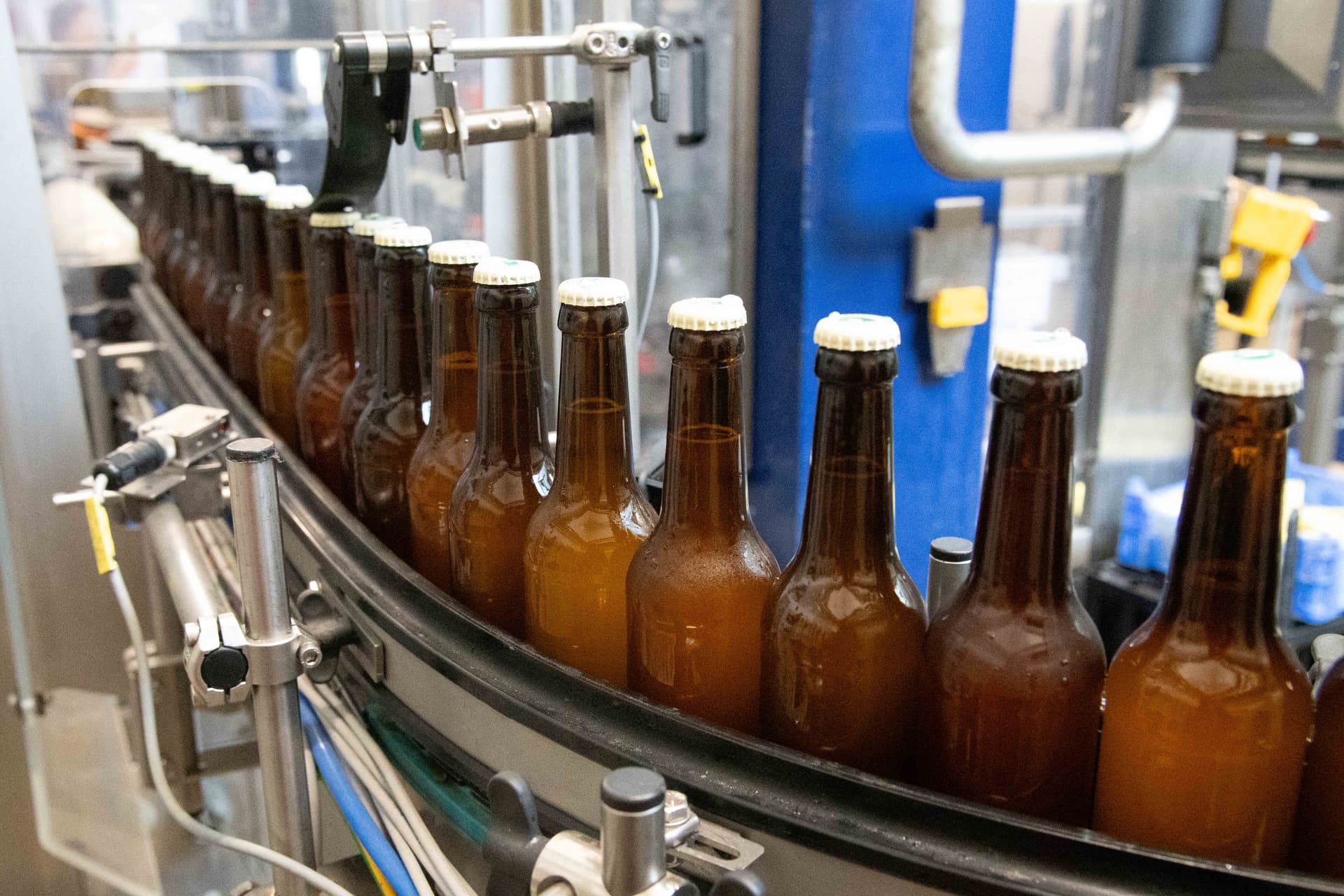 Hopfen und Malz verloren? Bierabsatz deutscher Brauereien fällt um 4,5 Prozent