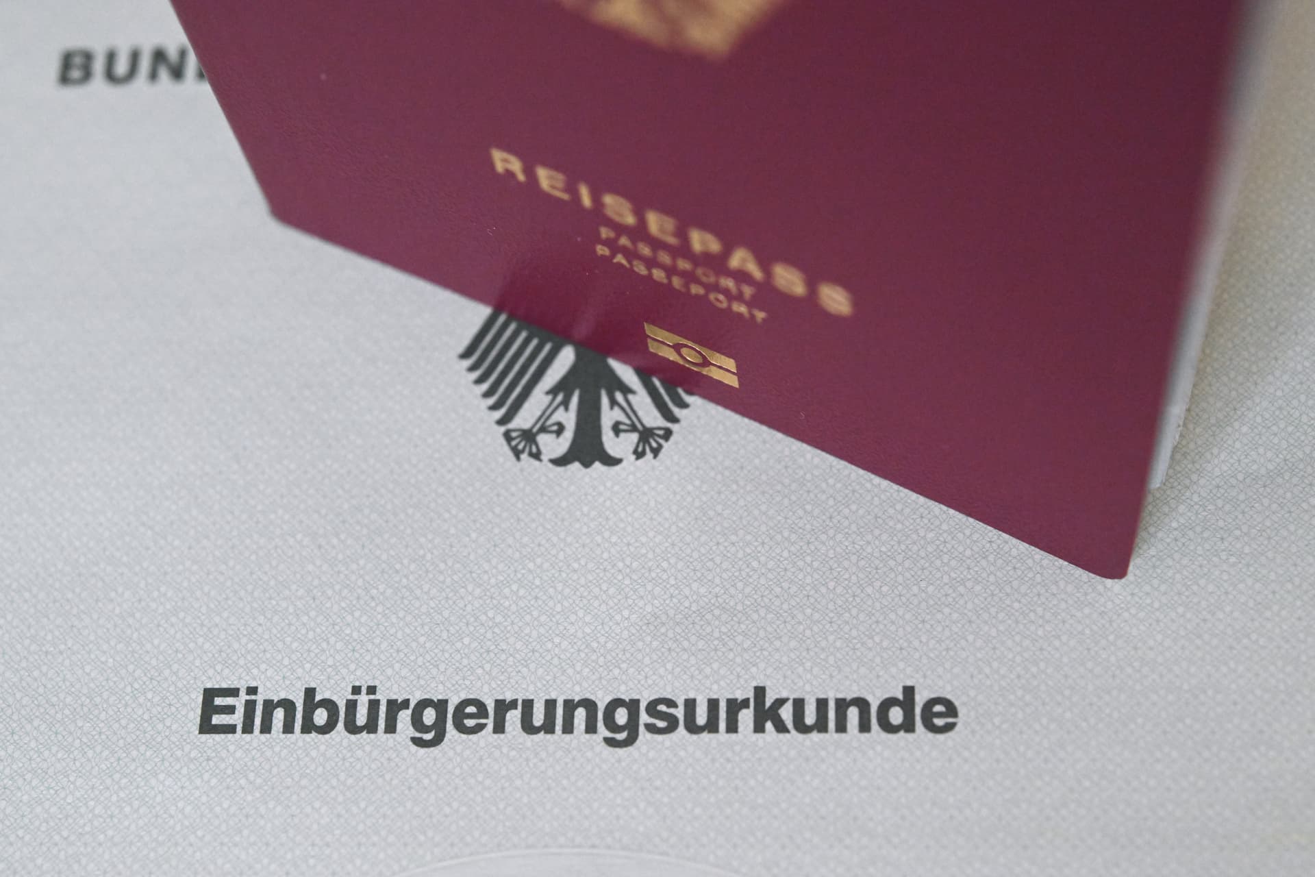 4130 Staatenlose wurden 2024 deutsche Staatsbürger