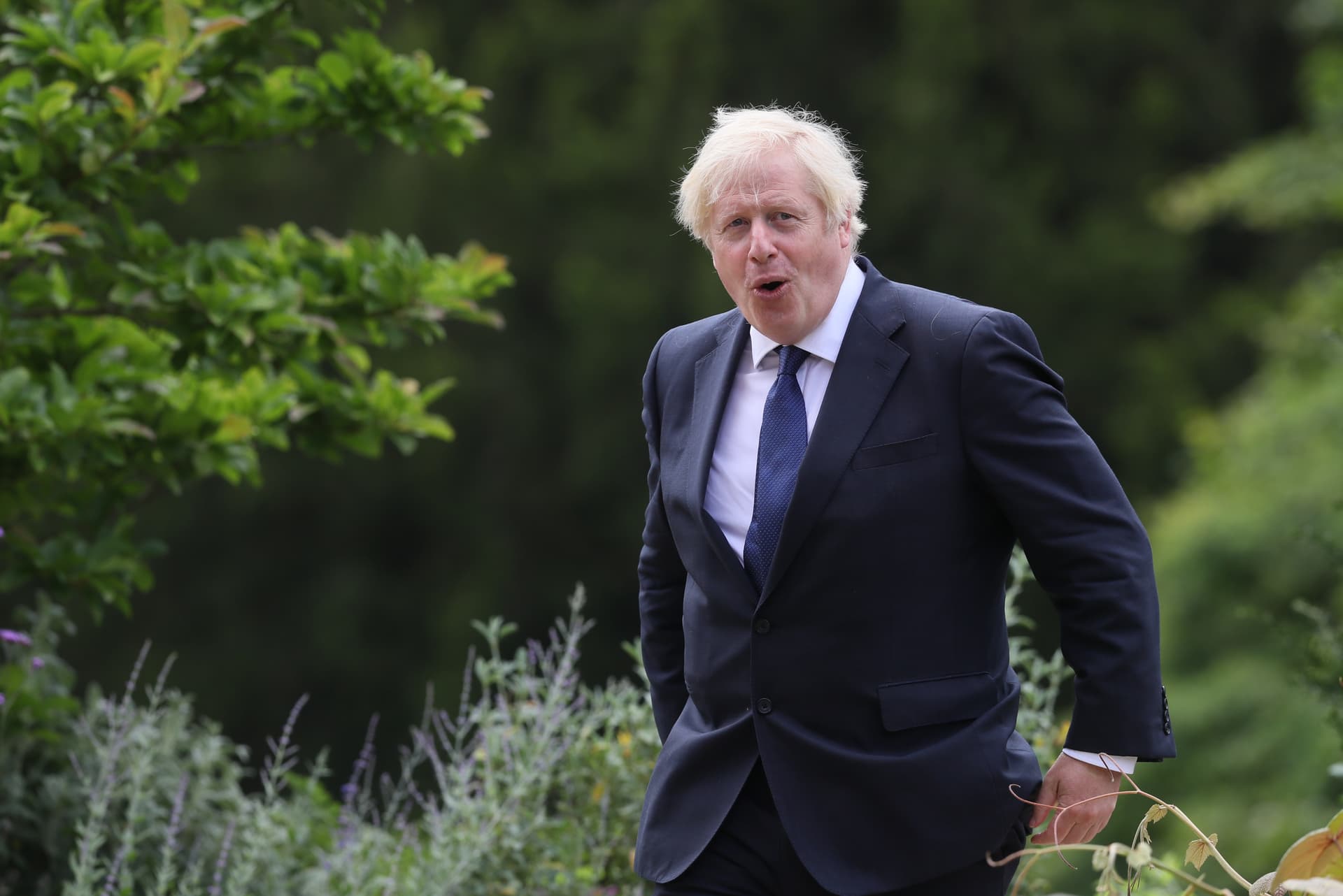 Boris gegen den Molch: Geschützte Tiere stören Bau von Johnsons Pool