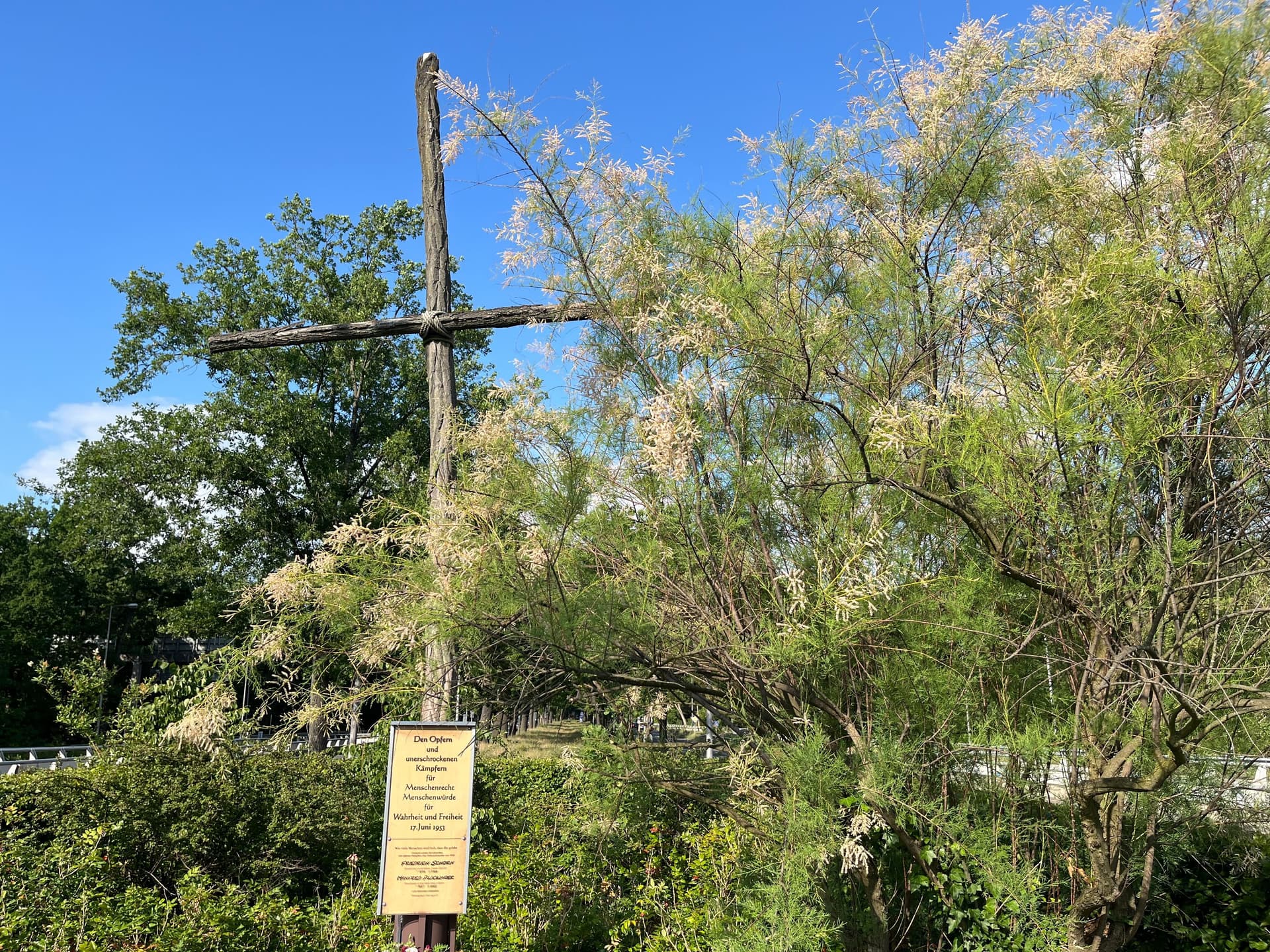 Erinnerung an den 17. Juni 1953: Ein Holzkreuz, das niemand mehr kennt