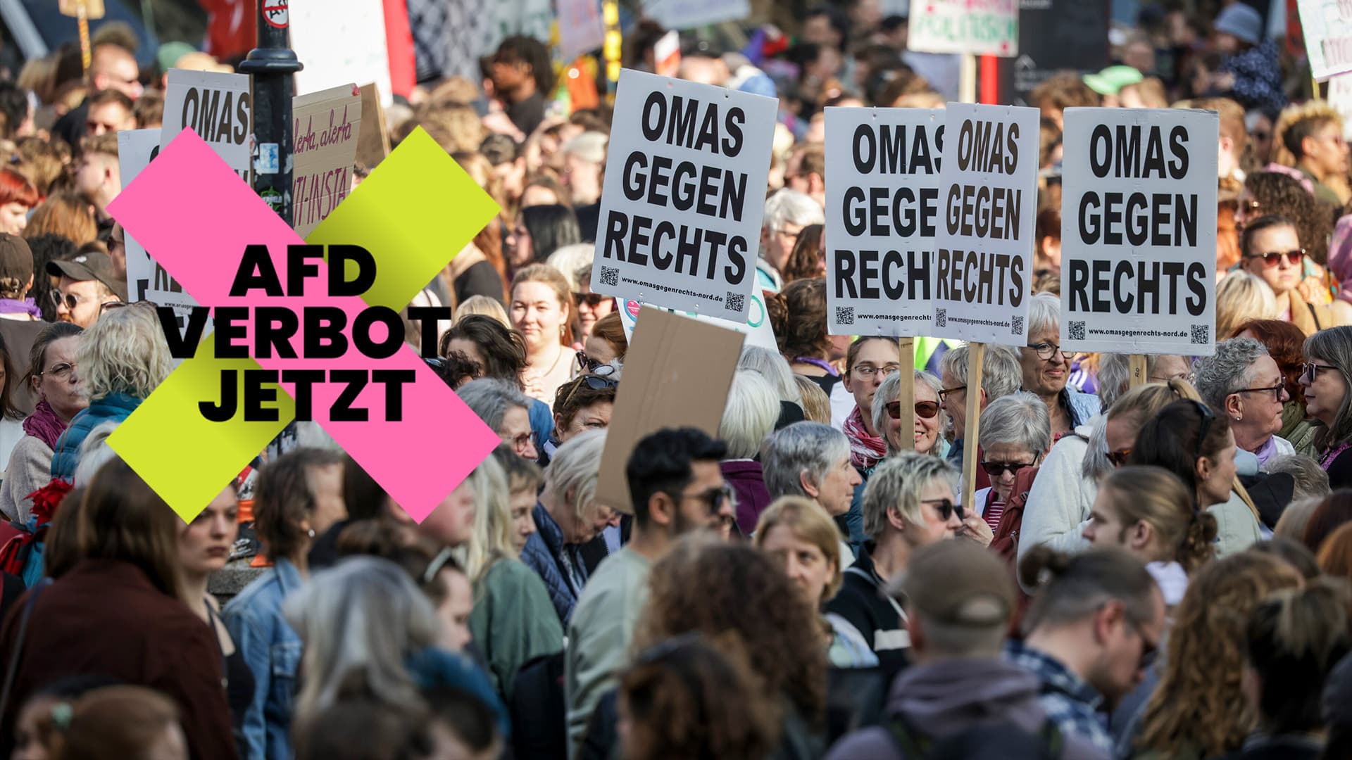 NGO-Komplex macht gegen Opposition mobil: So viel Steuergeld bekommen die Organisationen, die für ein AfD-Verbot demonstrieren