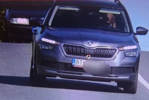 Kurioses Foto: Hund von Polizei geblitzt
