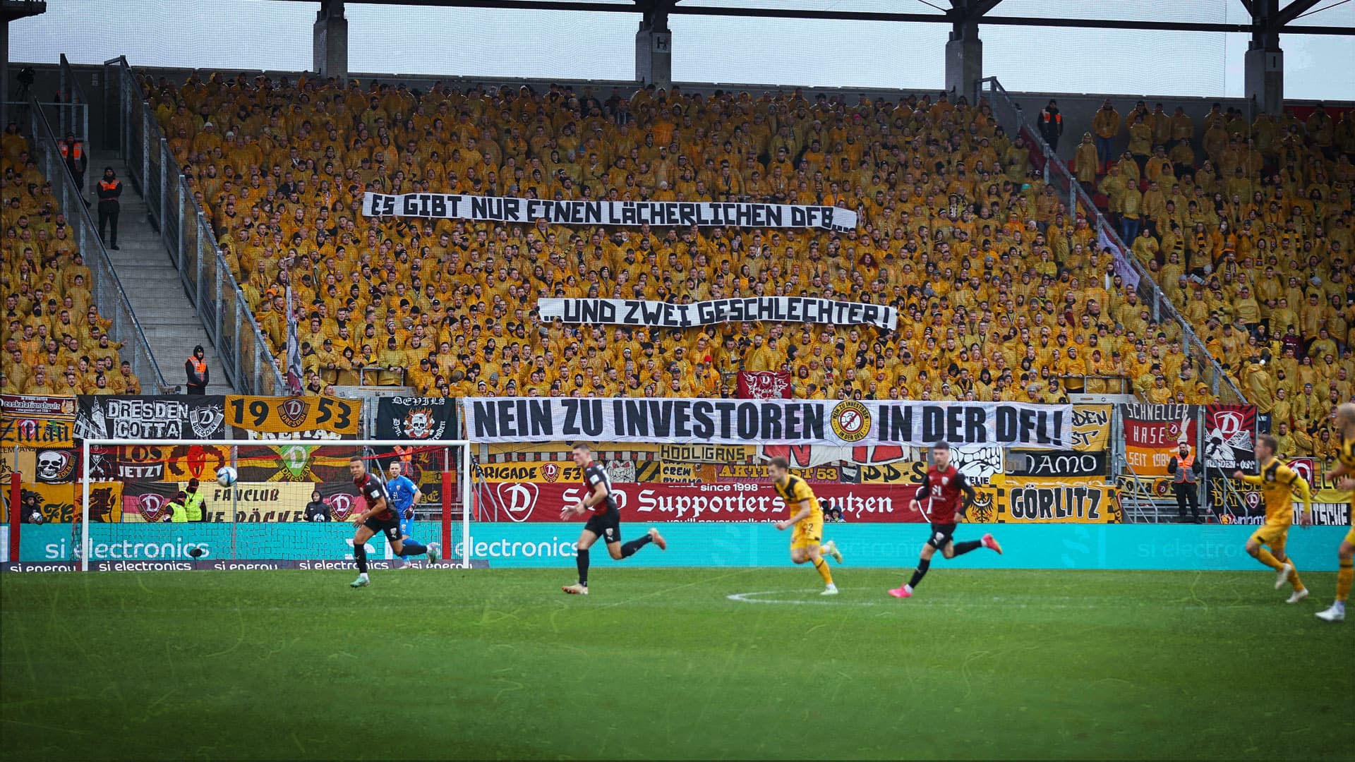 „Es gibt nur zwei Geschlechter“: DFB bestätigt Banner-Ermittlungen gegen Dresden-Fans