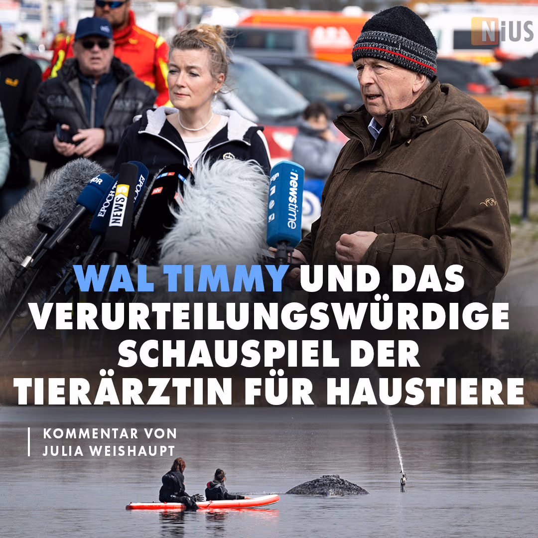 Wal Timmy und das verurteilenswürdige Schauspiel der Tierärztin für Haustiere