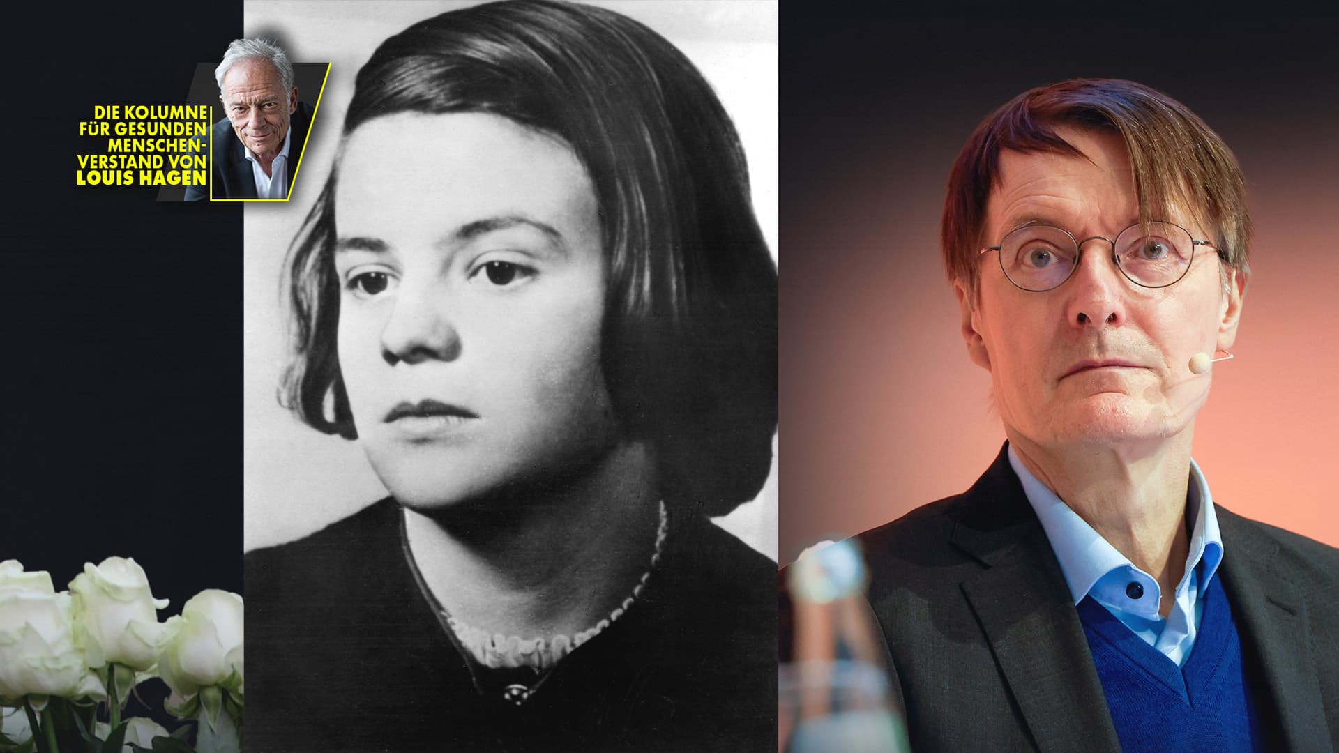 Verhöhnt die Weiße Rose nicht