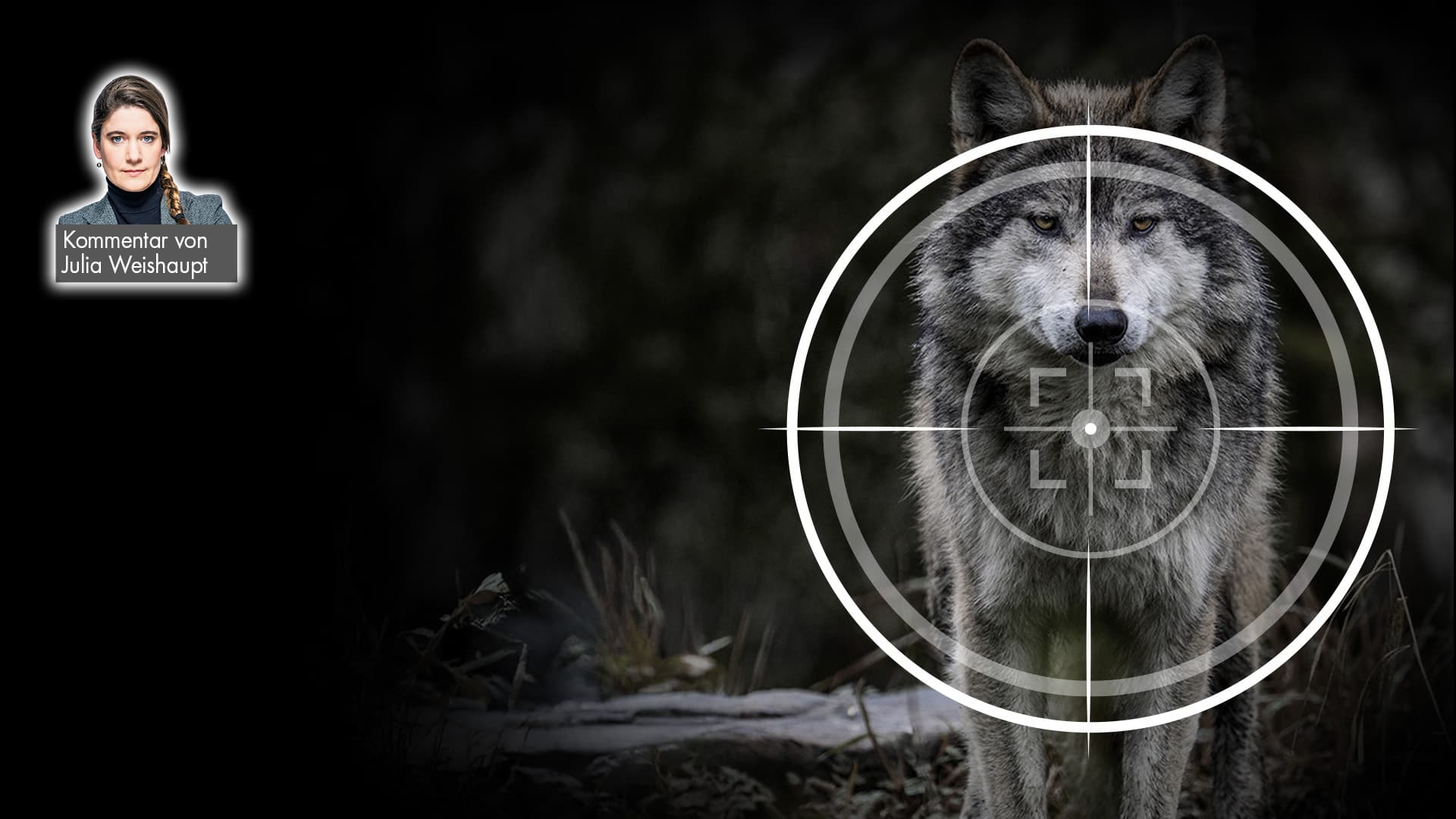 Der Wolf muss weg: Lasst grüne Wolfsromantik endlich scheitern!
