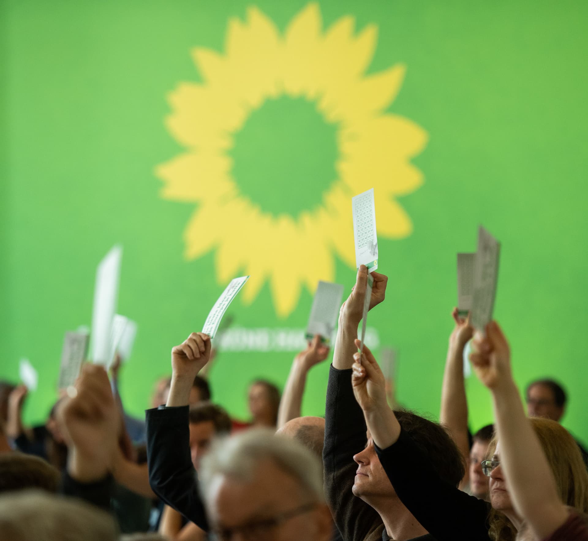 Für bessere Umfragewerte: Grüne Politiker sehnen Waldbrände herbei!