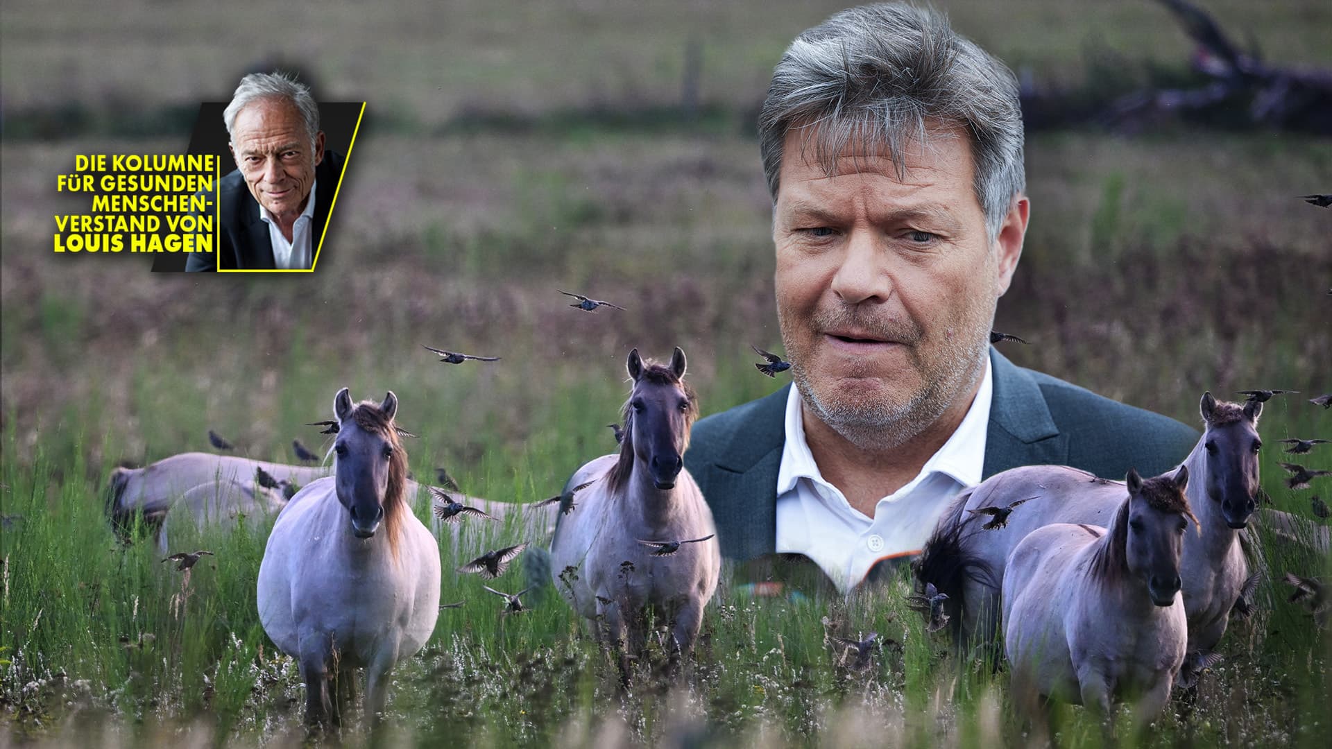 Habeck und die verhungerten Pferde: Wenn Habeck sich um Tiere kümmert, muss man diese bedauern