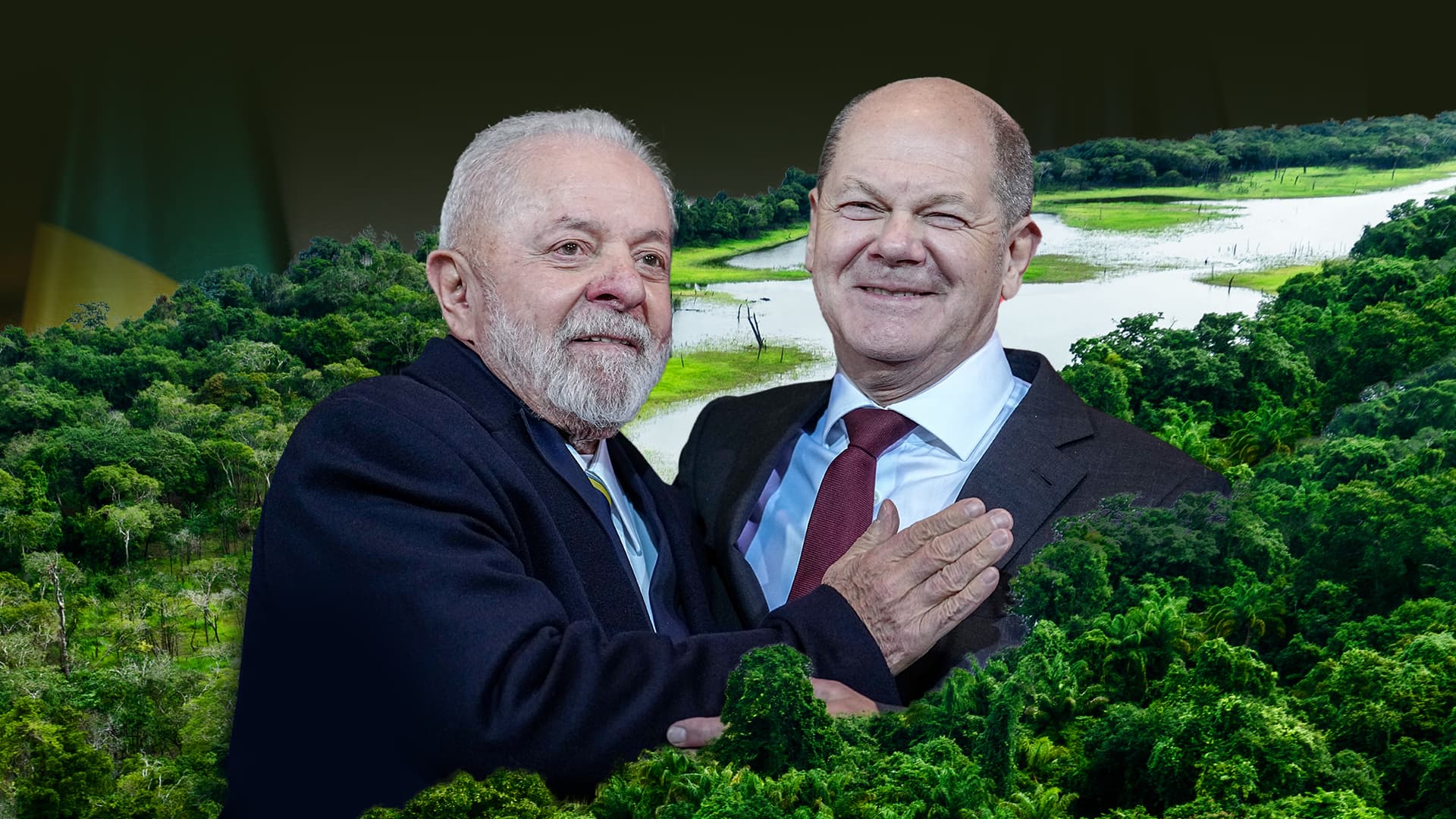 Scholz holzt Grimms Märchenwald ab – aber schickt Millionen nach Brasilien zur Rettung des Regenwaldes