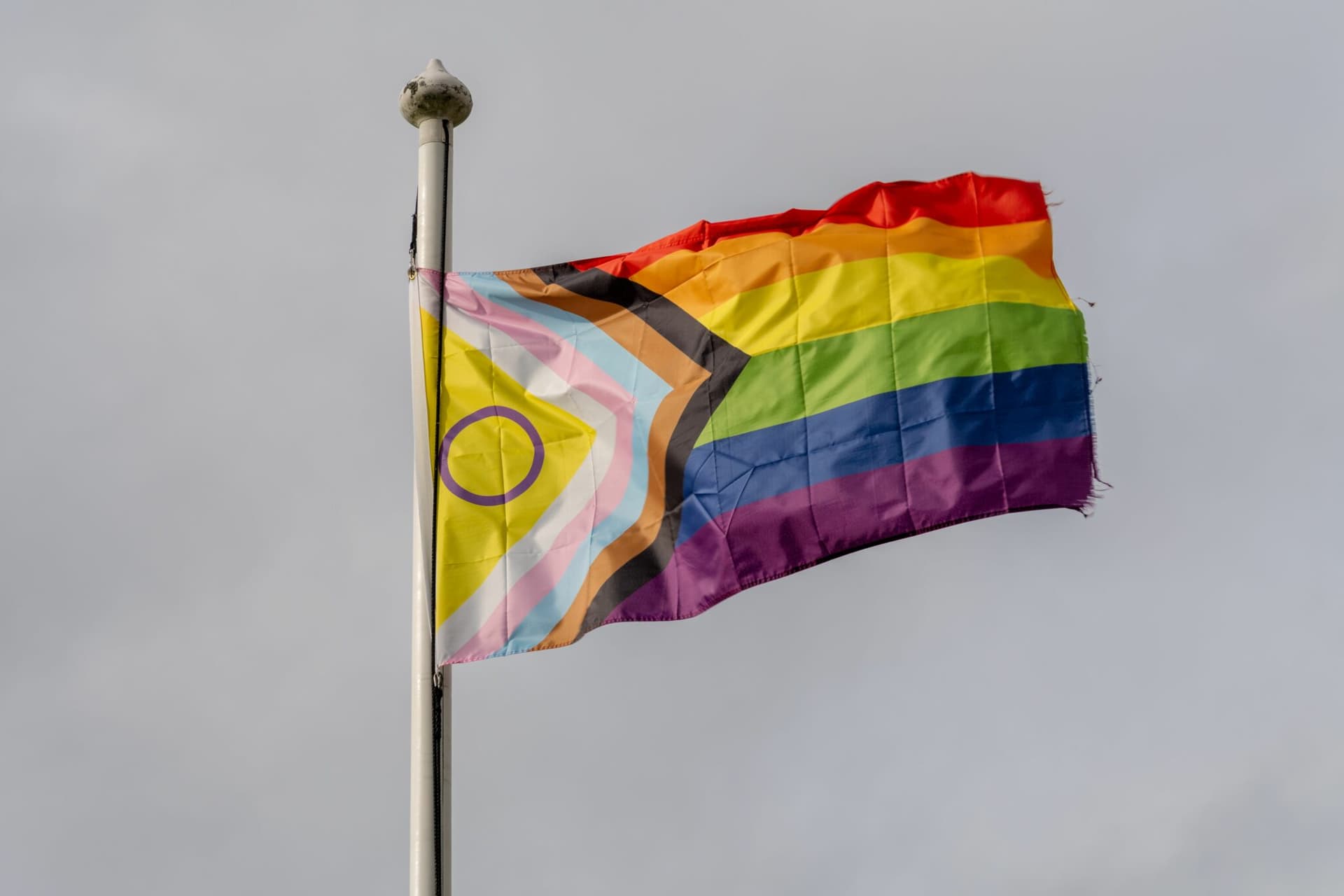 Rechtswidrig: Auswärtiges Amt stellt Progress Pride Flag aus