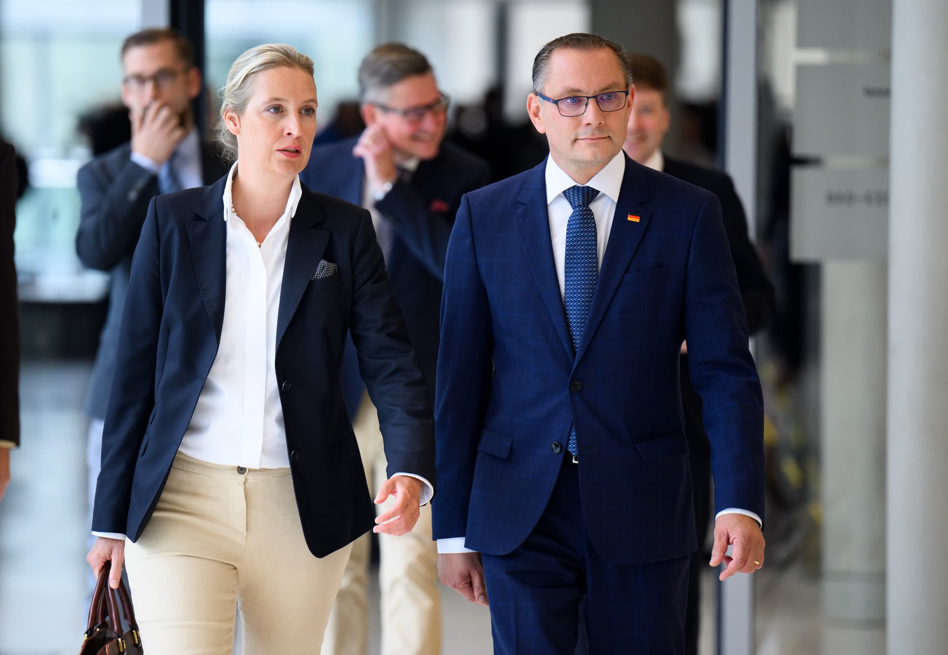 Höhenflug nicht nur in Umfragen: AfD-Mitgliederzahl steigt um 37 Prozent