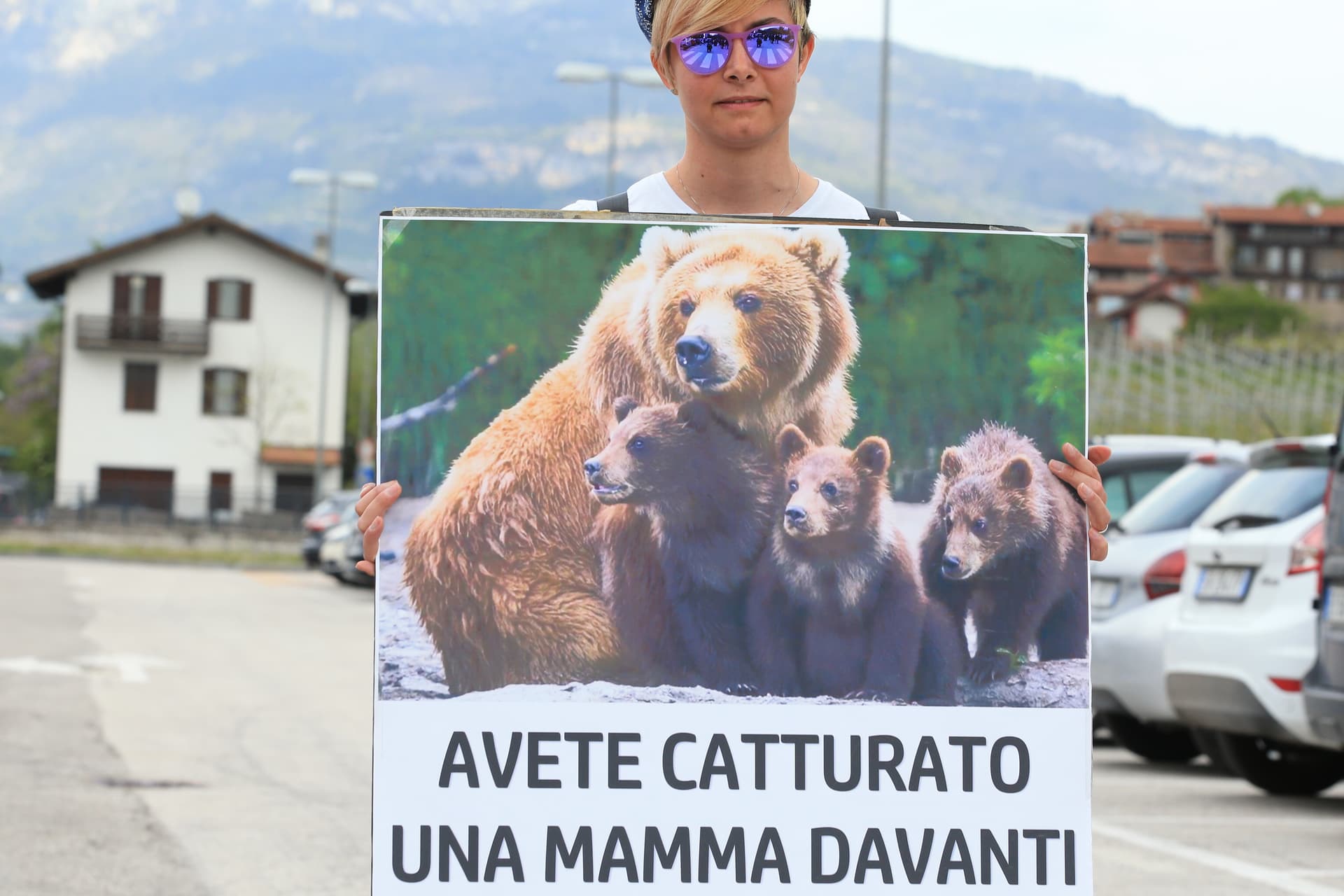Tierschützer feiern: „Problembärin“ darf weiter frei rumlaufen