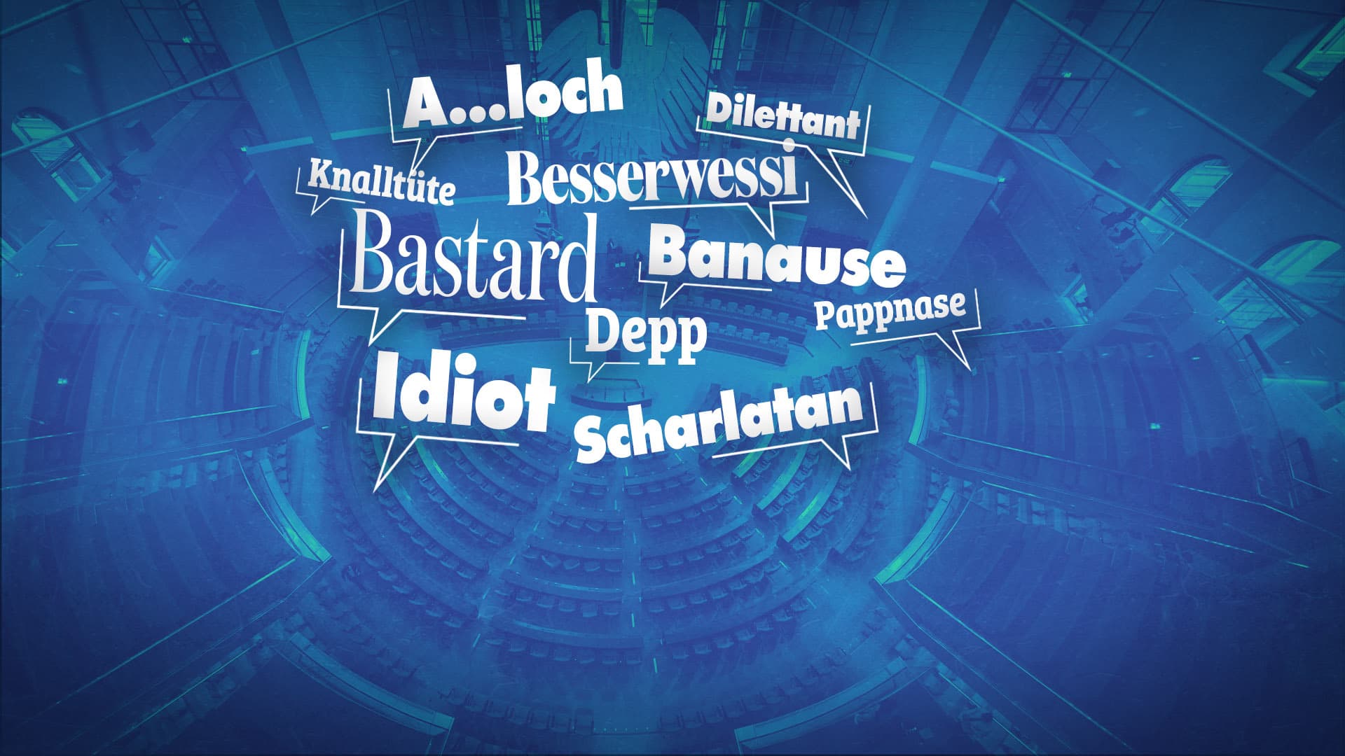 Das sind die häufigsten Beleidigungen im Bundestag – und niemand muss dafür vor Gericht