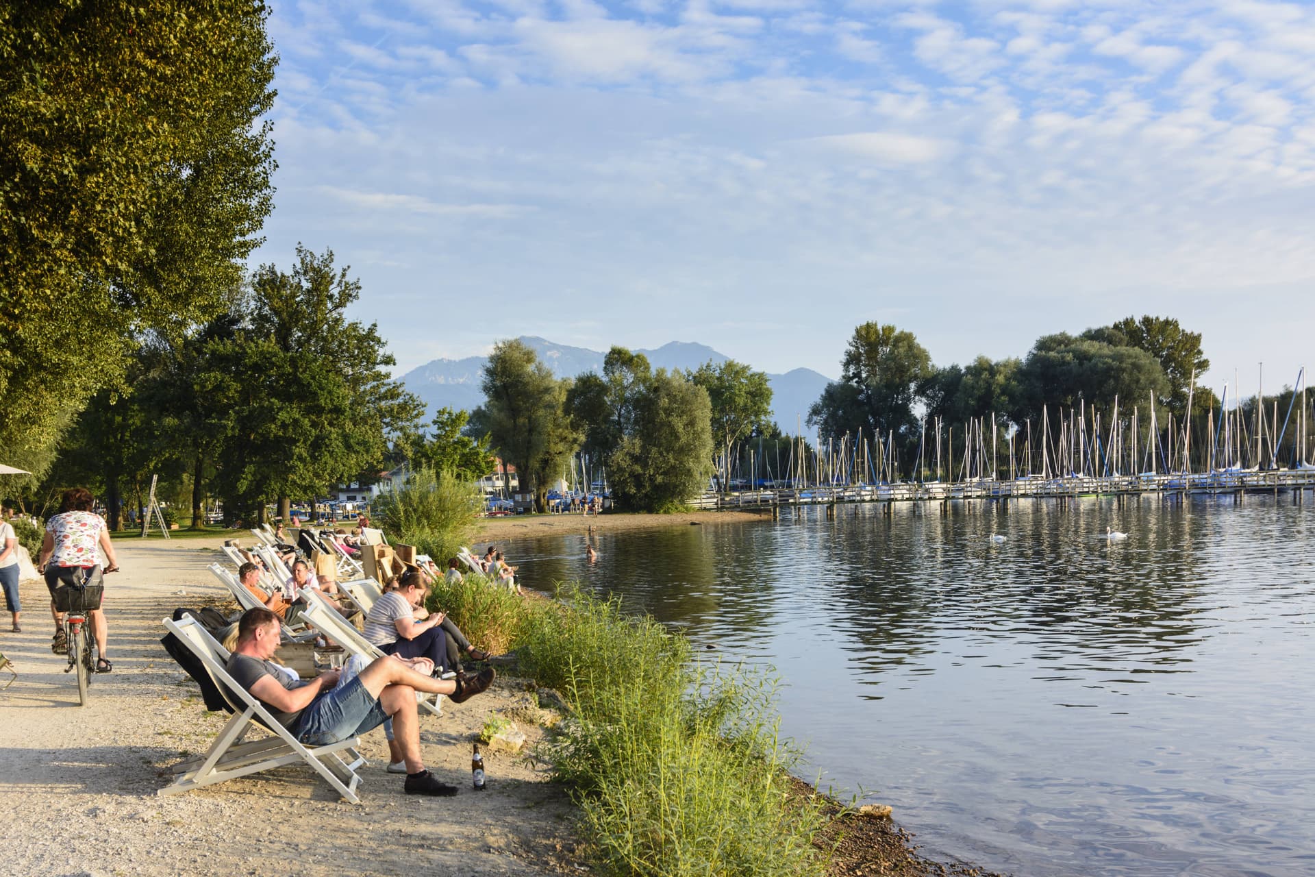 SSSsssSSssssSSSSSssss: Mücken-Plage am Chiemsee