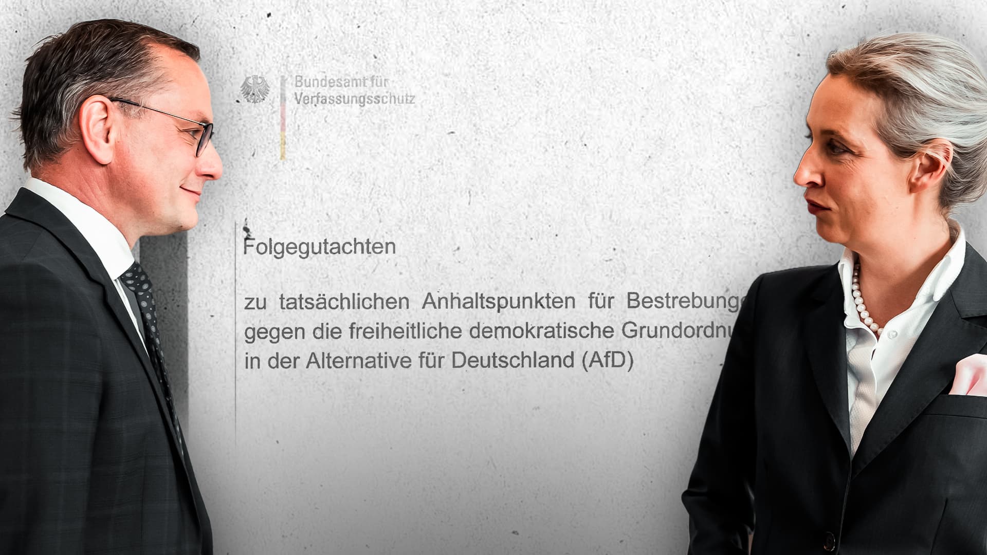 Das geheime AfD-Gutachten: Lesen Sie HIER selbst, was drin steht