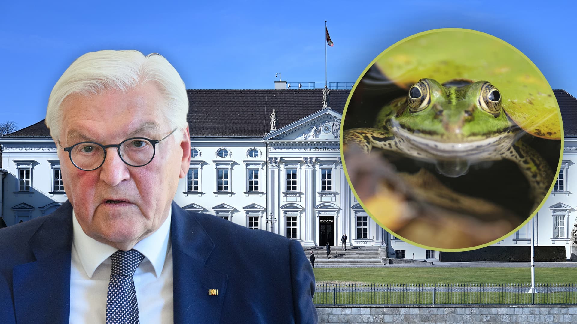 Bellevue-Sanierung: Steinmeier-Behörde ließ 16-Seiten-Gutachten für Frosch-Umzug erstellen