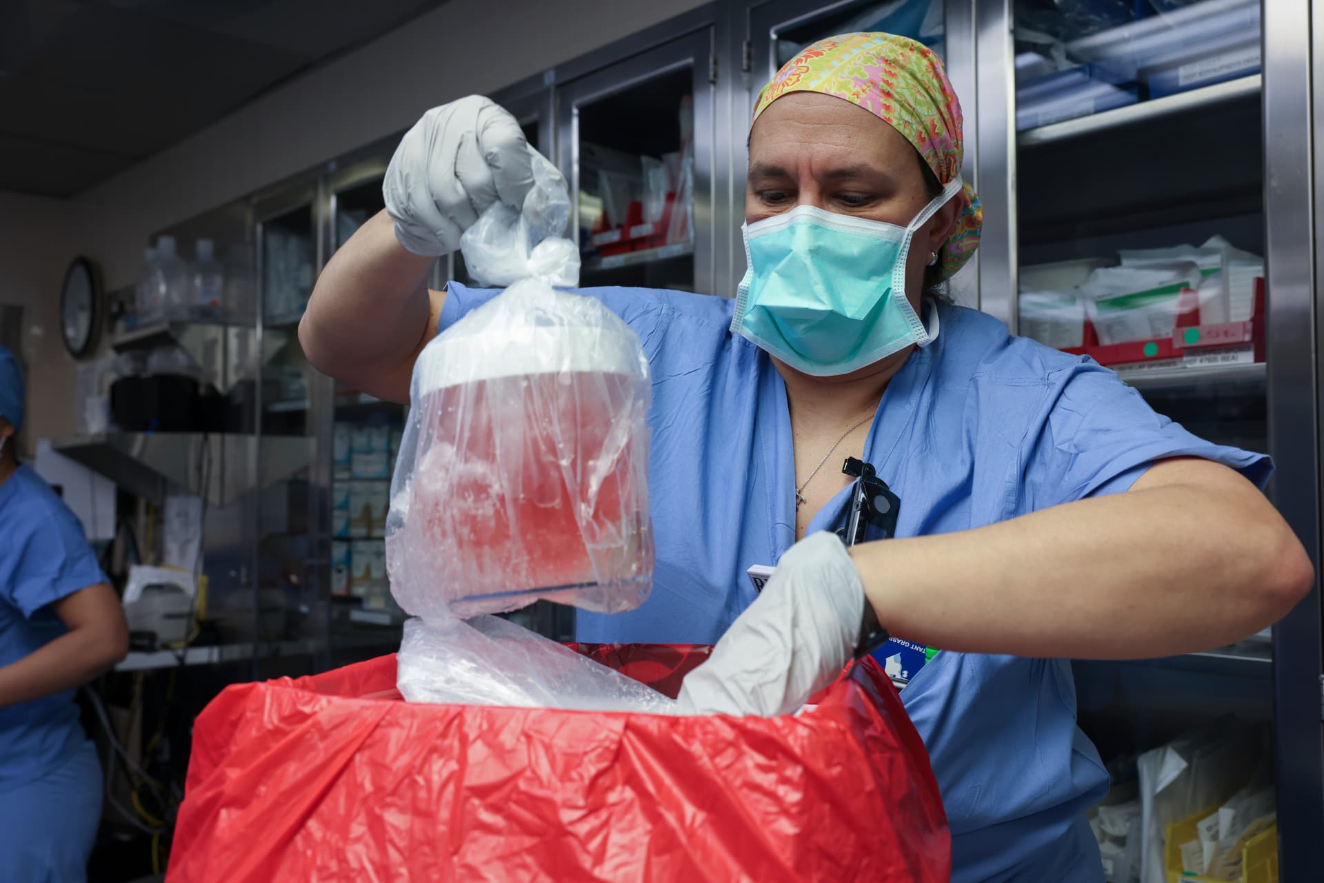 Sensation: Schweine-Niere in Menschen transplantiert, Leben gerettet!