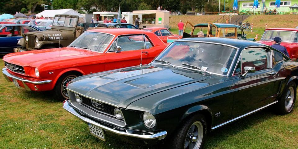 Grüne setzen sich durch: Oldtimer-Messe wegen Naturschutz verboten