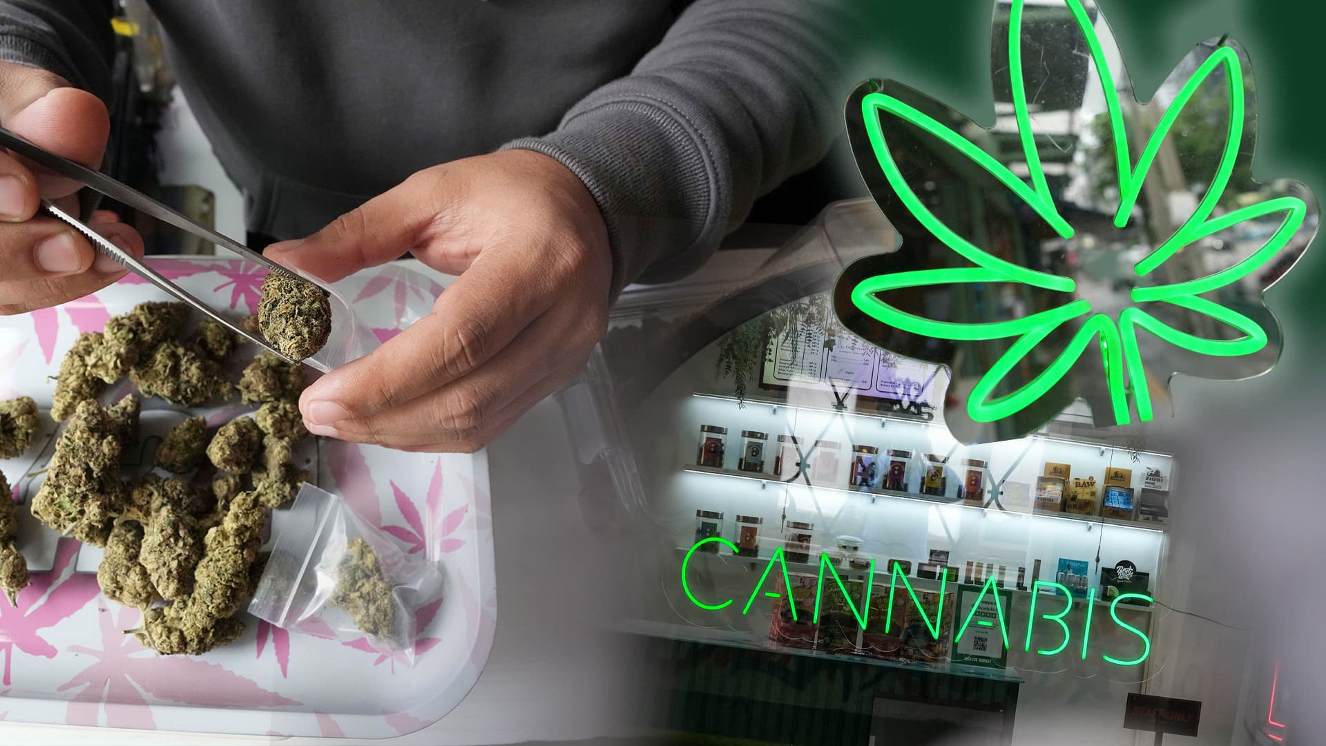 Psychosen auf Höchststand und florierender Schwarzmarkt: Mit der Cannabis-Legalisierung versündigt sich Deutschland an seiner Jugend