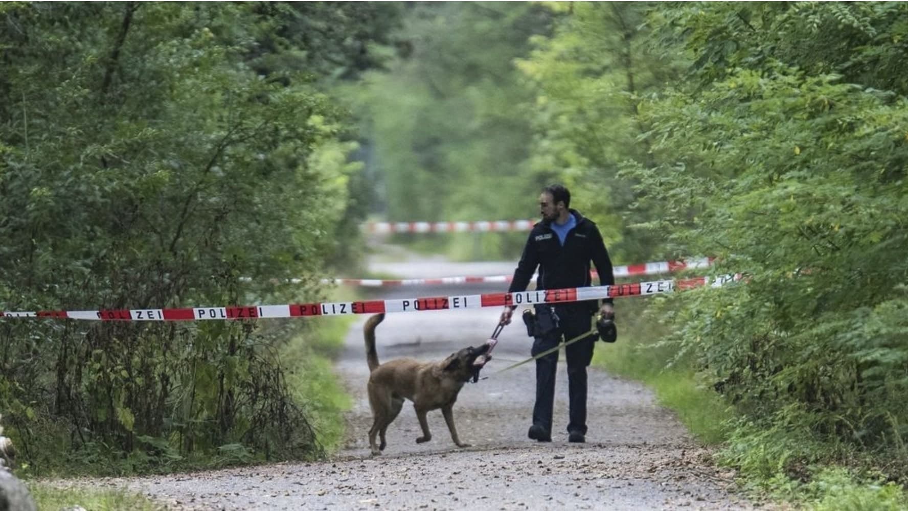 Sie wurde tot im Wald gefunden: Zweifache Mutter mit mehreren Stichen ermordet