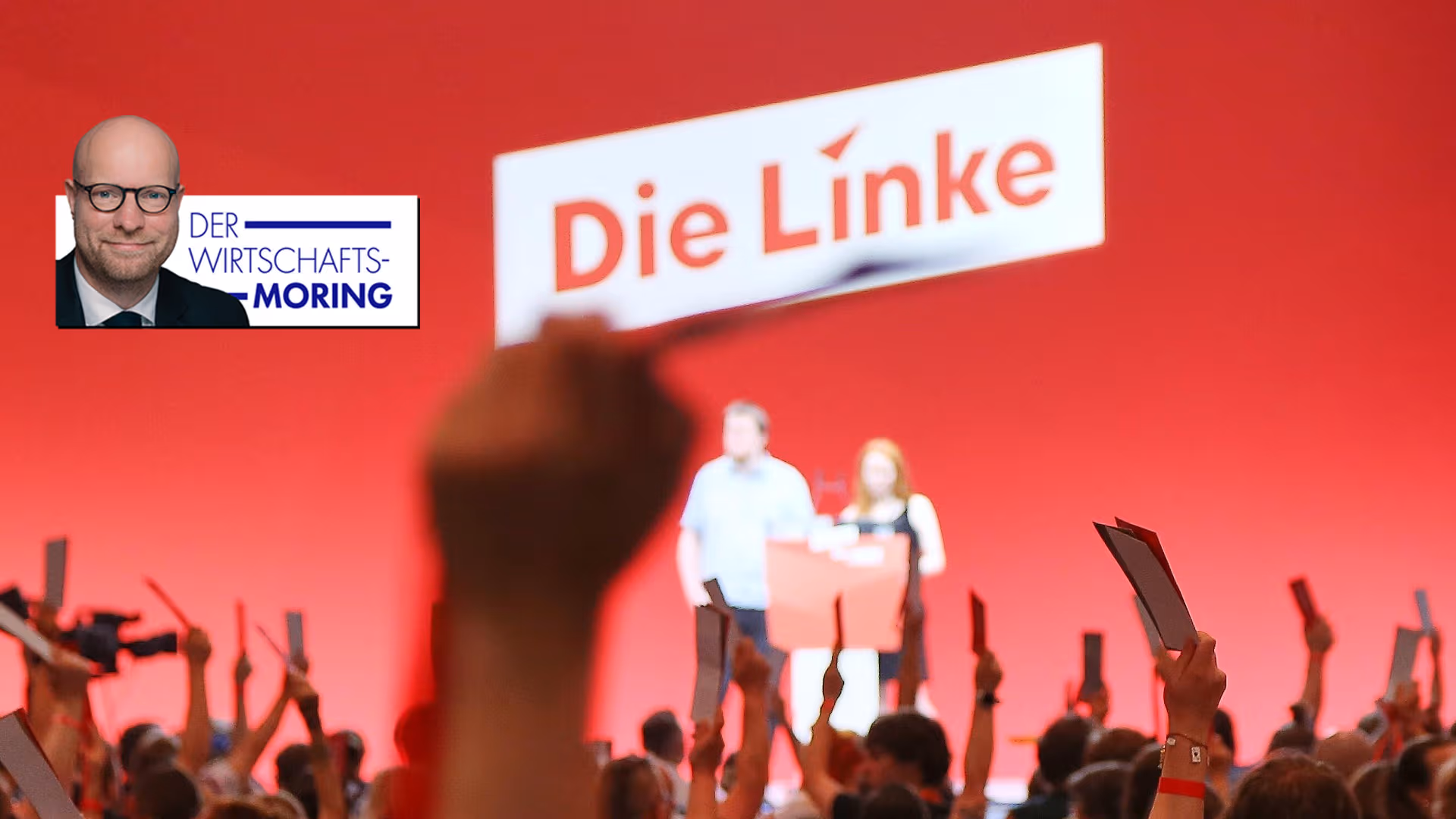 Die skurrilsten Beschlüsse des Linken-Parteitags