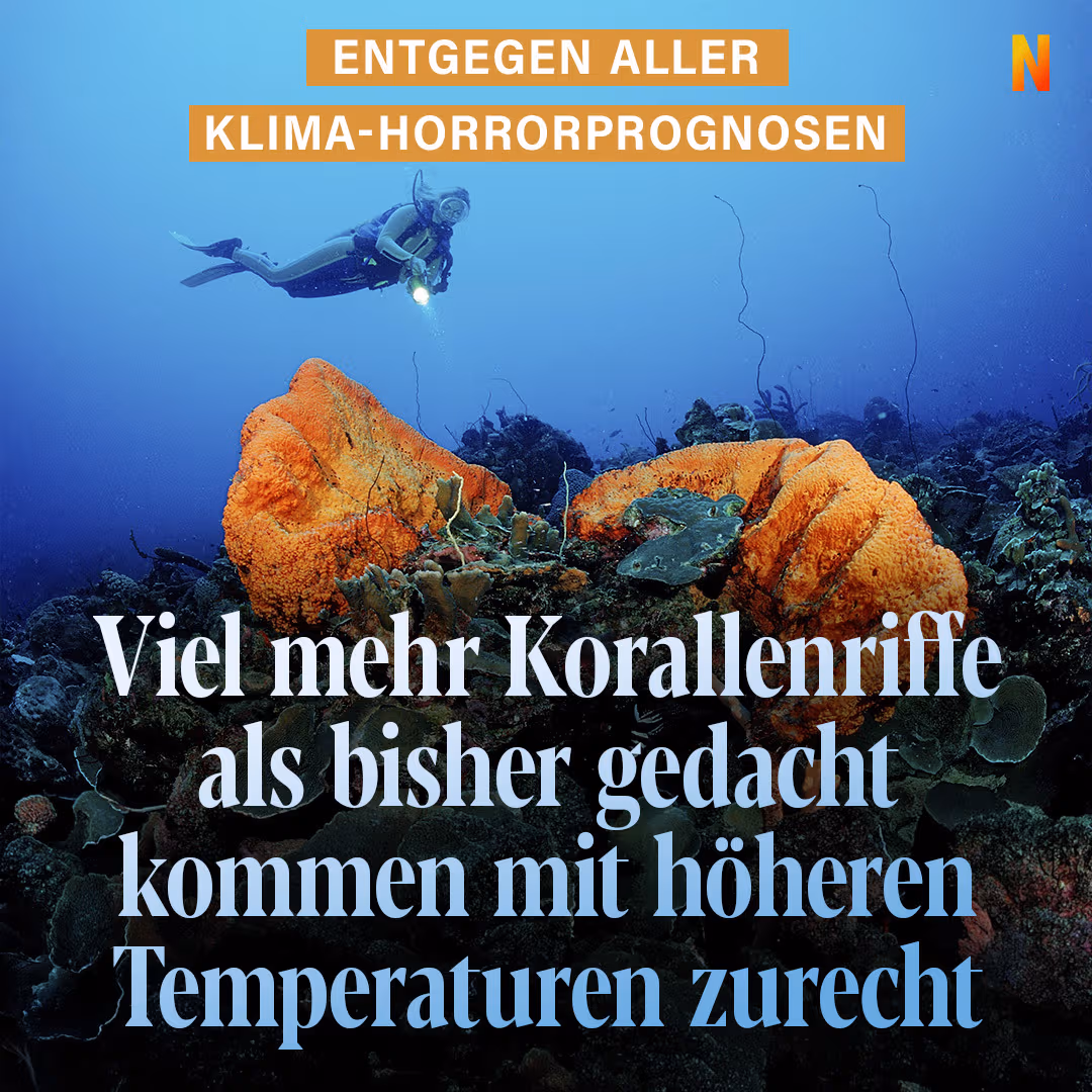 Entgegen aller Klima-Horrorprognosen: Viel mehr Korallenriffe als bisher gedacht kommen mit höheren Temperaturen zurecht