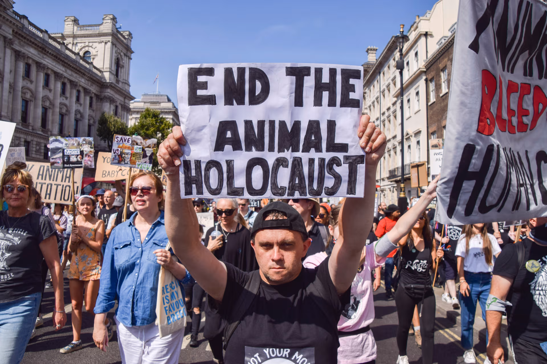 Der neue grüne Antisemitismus: Fridays for Future, Claudia Roth, radikale Veganer
