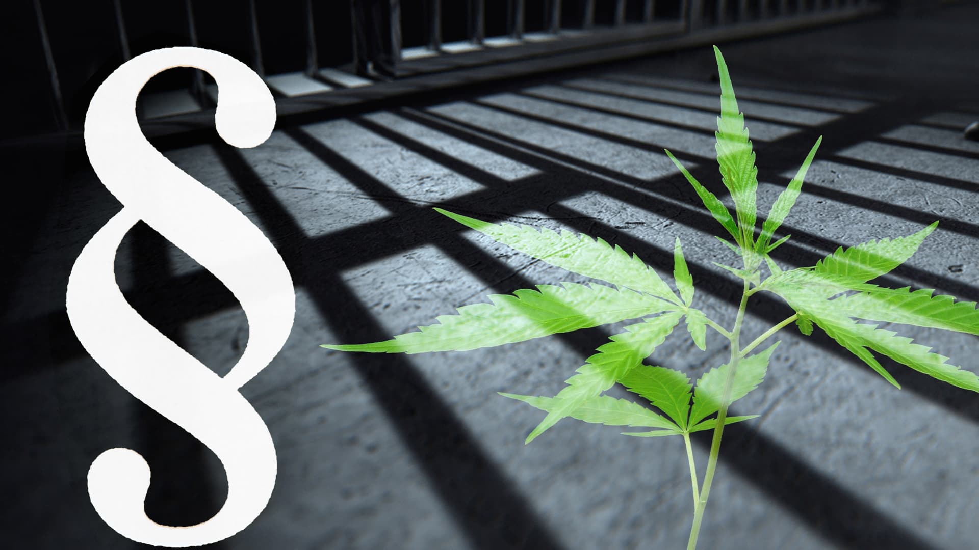 NRW: Dutzende Gefangene aus der Haft entlassen, weil Cannabis jetzt legal ist