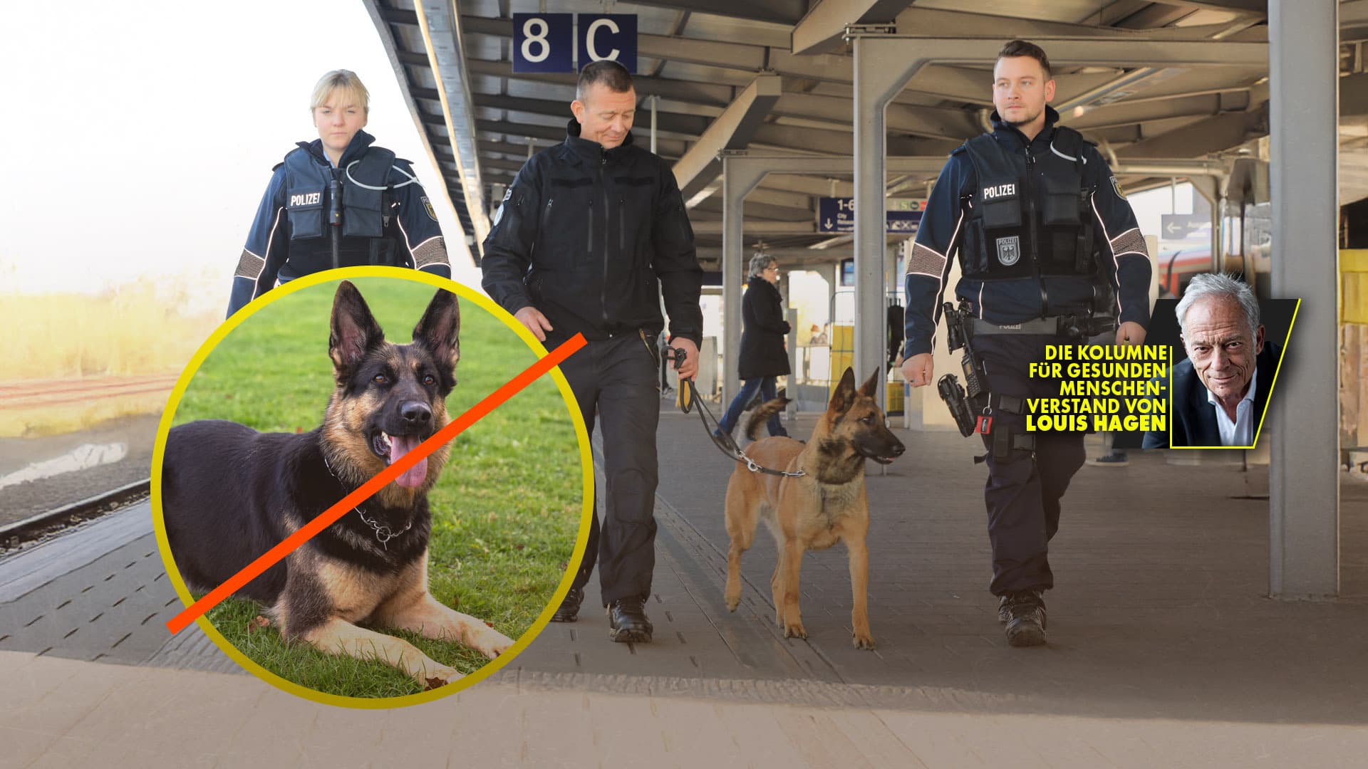 Polizei schickt Deutschen Schäferhund in Rente
