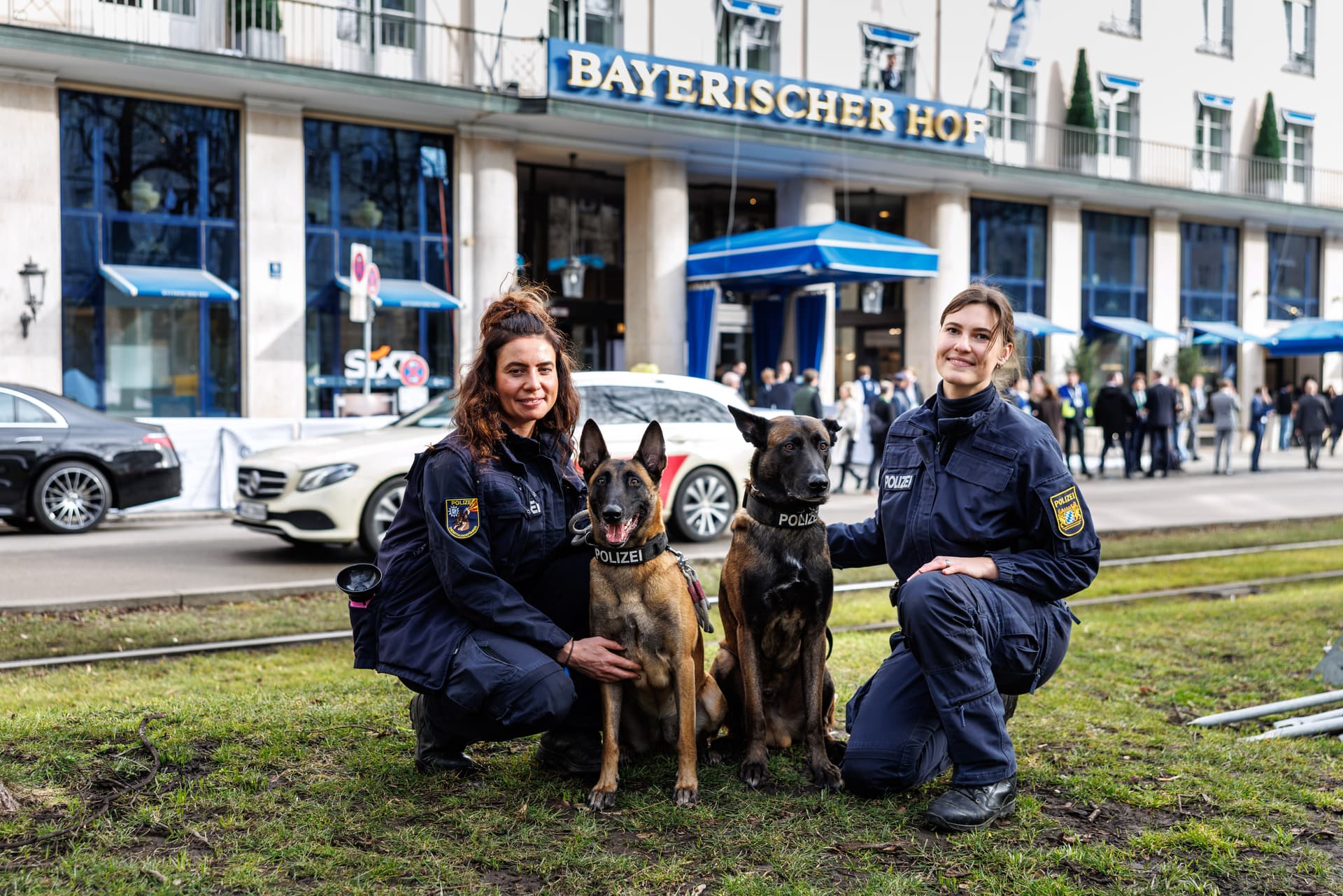 Fellwechsel im Revier: Der Belgier verdrängt den Deutschen Schäferhund
