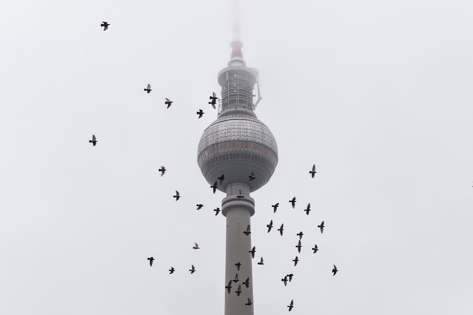 Neue Studie: Jeder vierte Berliner möchte Sinti und Roma „aus der Innenstadt verbannt sehen“