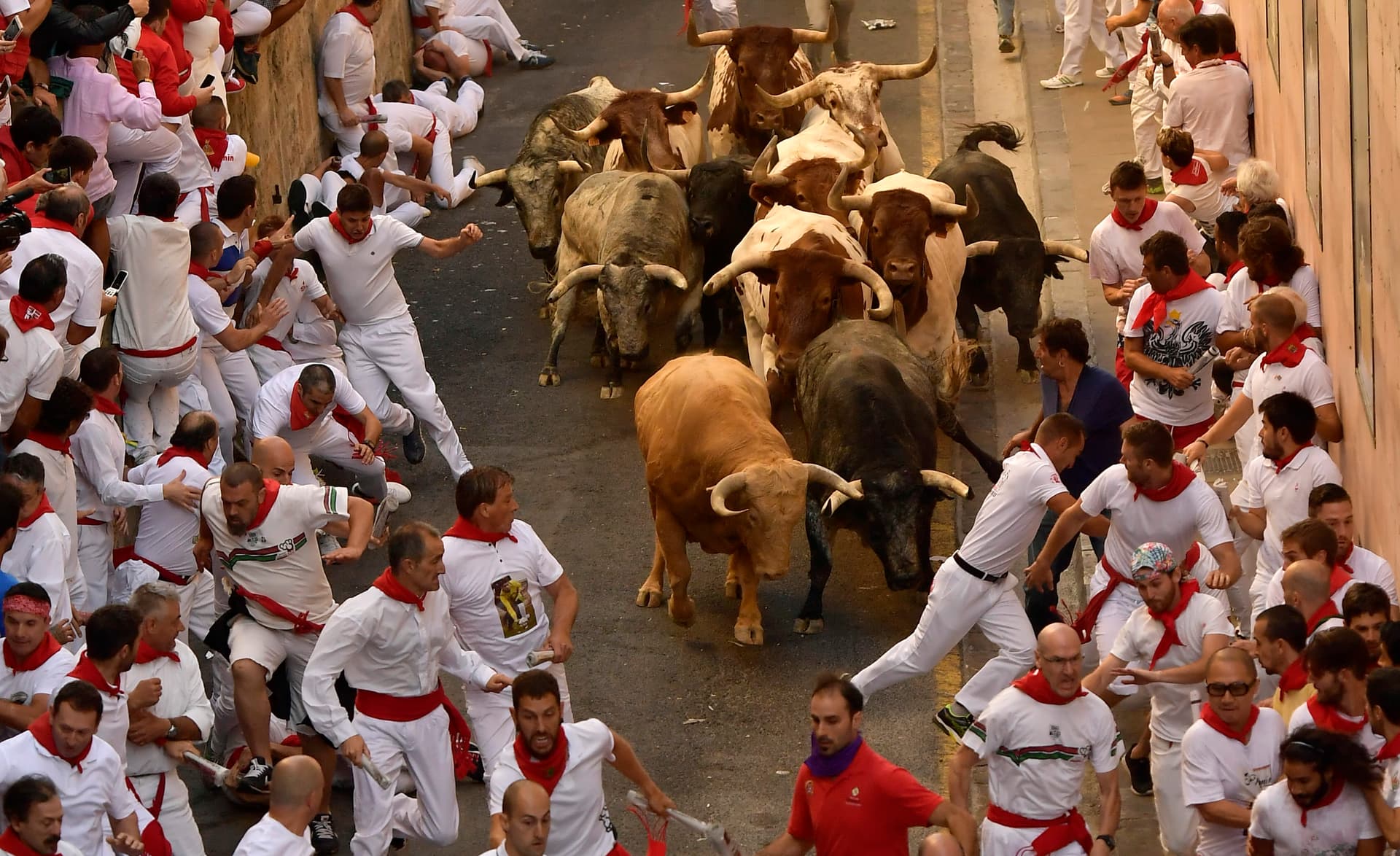 Mutprobe misslungen: Mehrere Verletzte bei Stierhatz in Pamplona